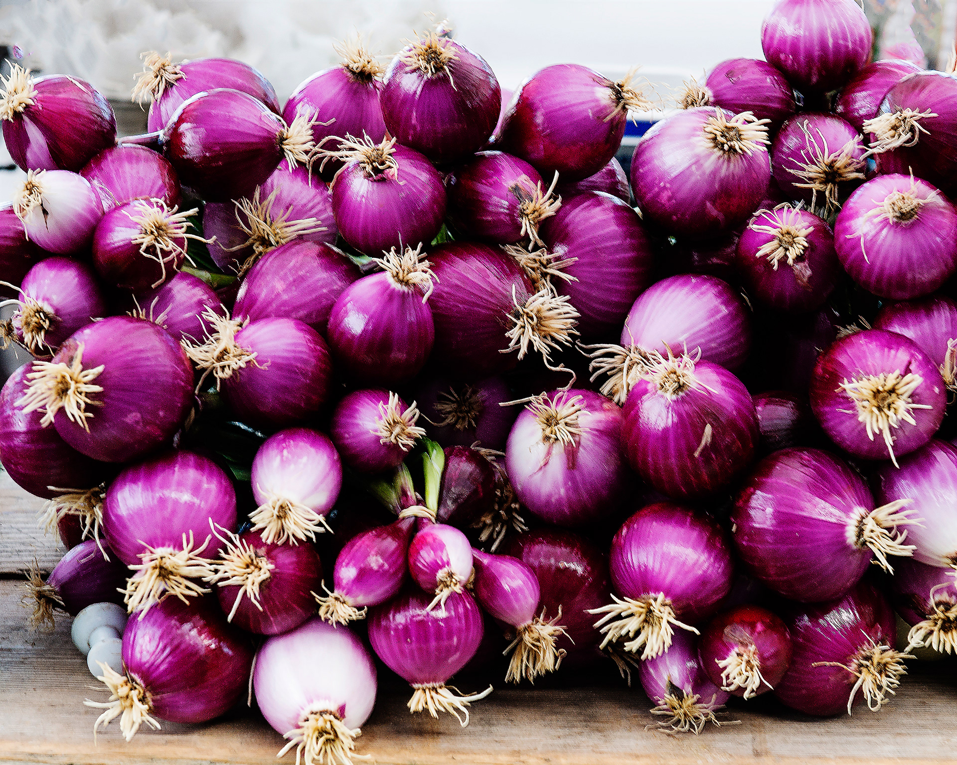 Red Onions - Santa Fe