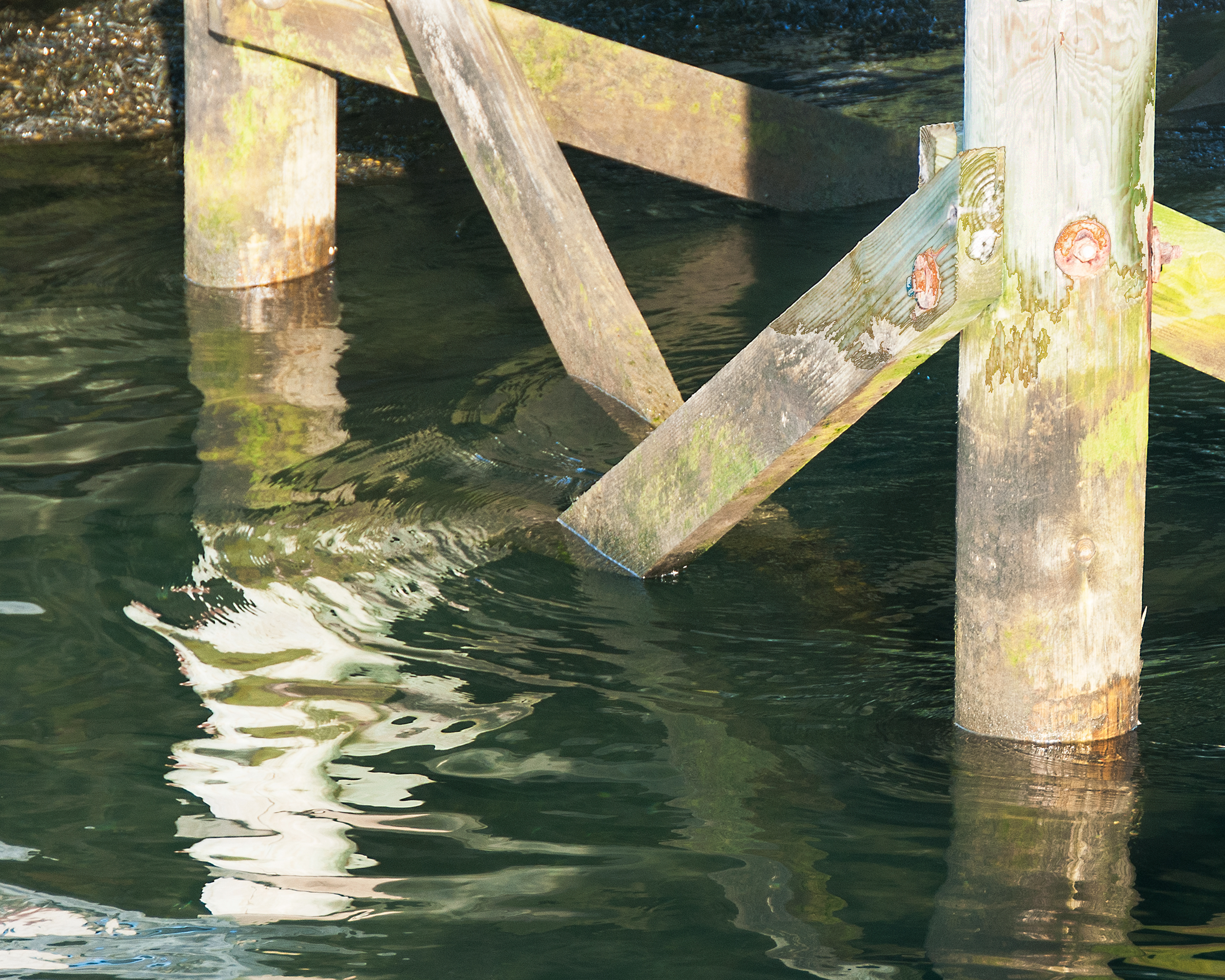 Pier Supports