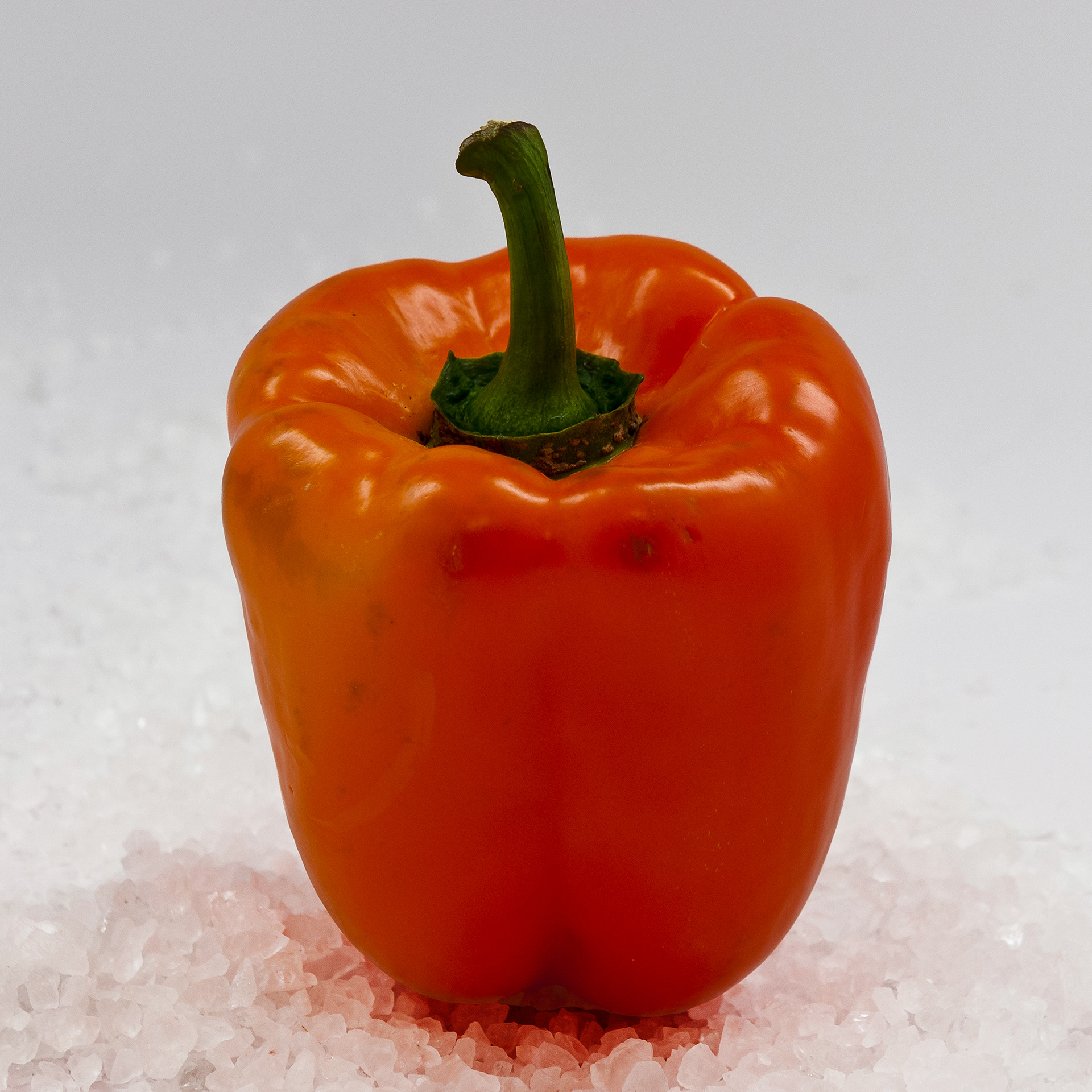 Orange Bell Pepper