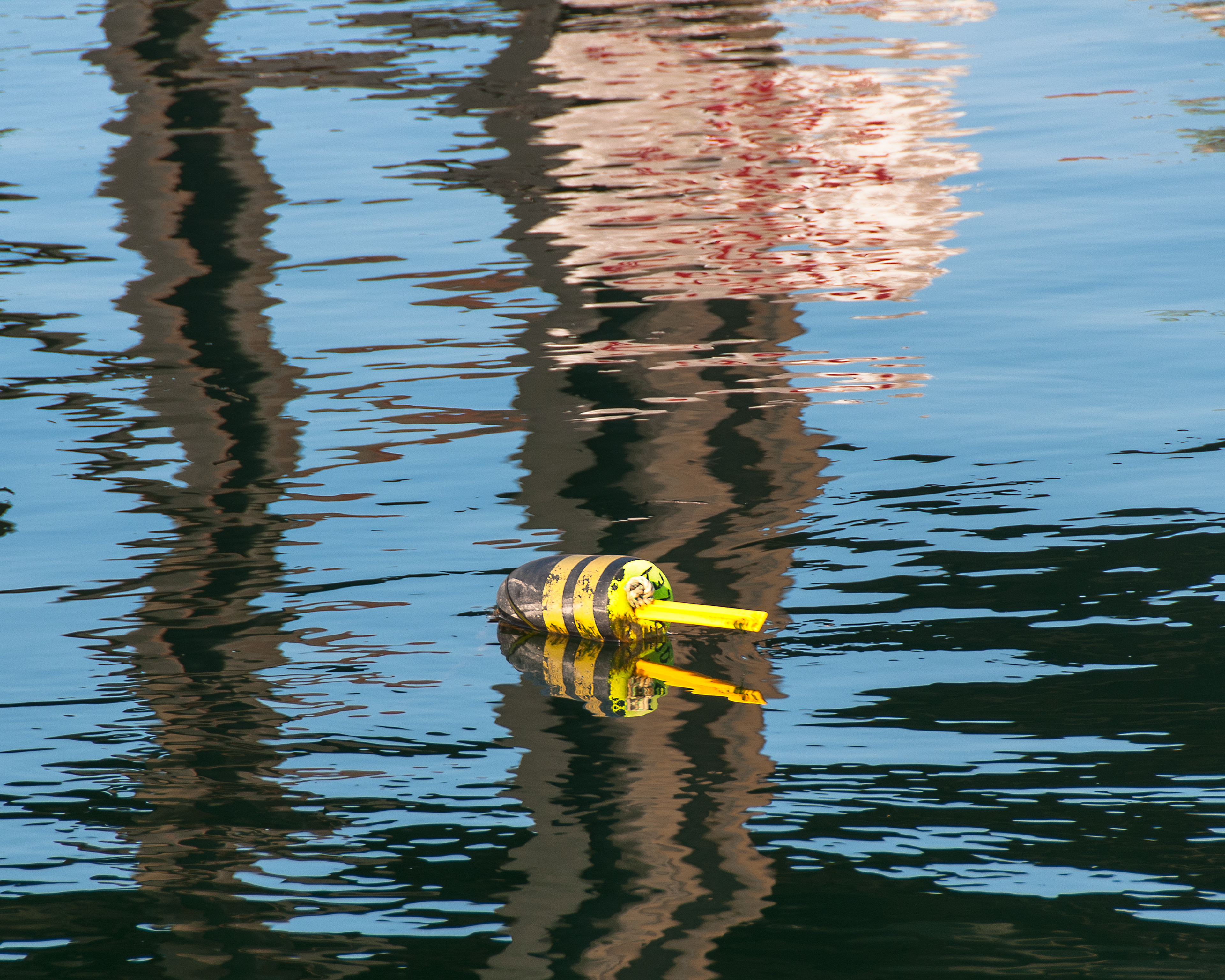 Lobster Buoy
