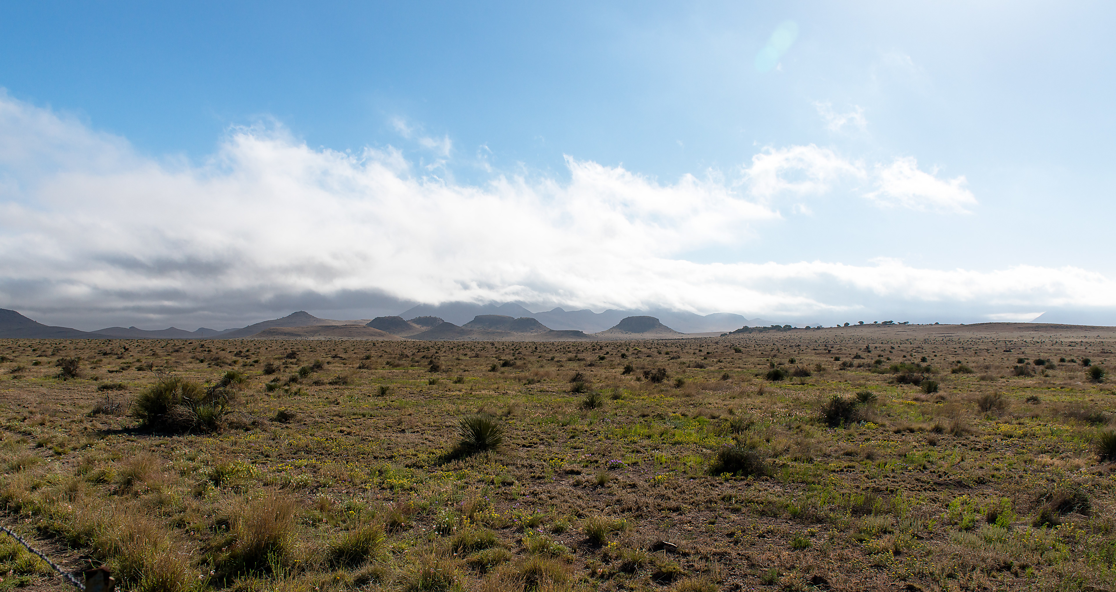 Davis Mountain Vista