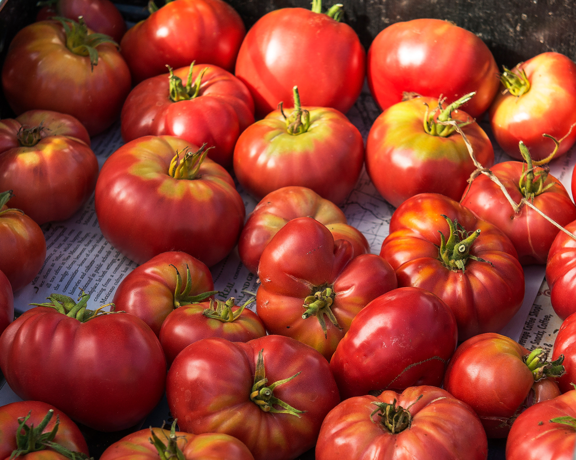 Heirloom Tomatoes - Sant Fe