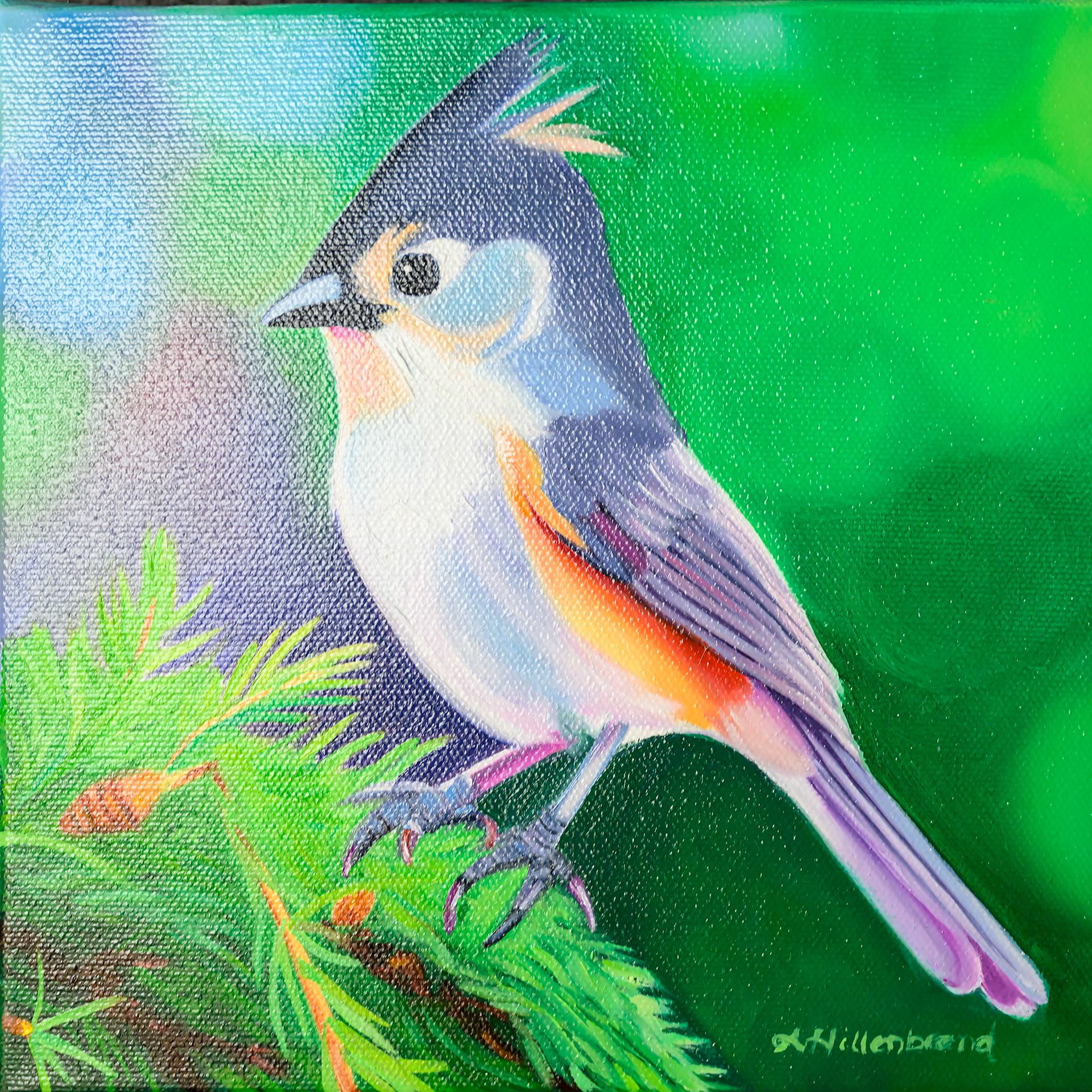 Amy Hillenbrand-Tiny but Titmouse