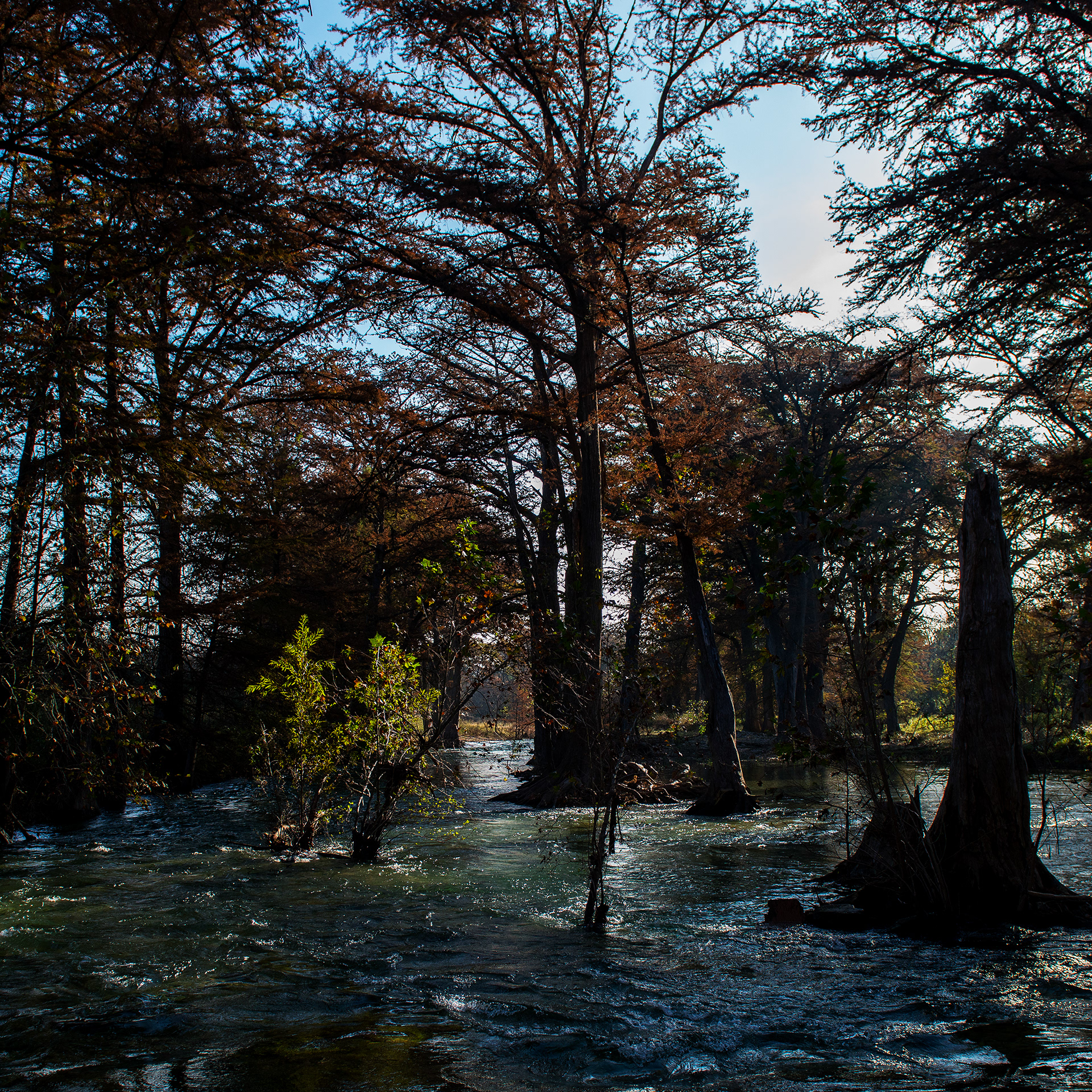 Medina River near Bandera