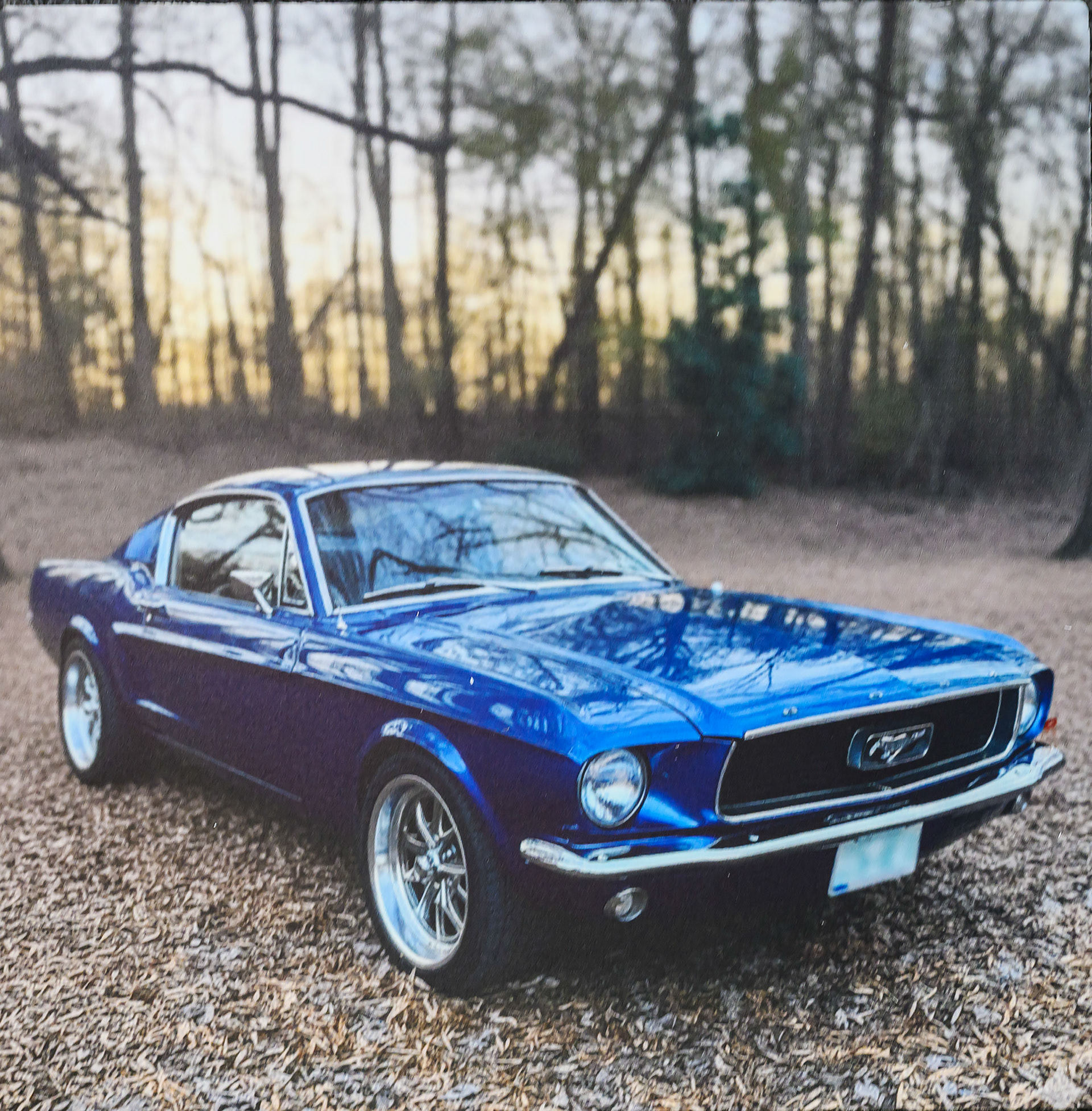 Tom Allred-1967 Ford Mustang Fastback