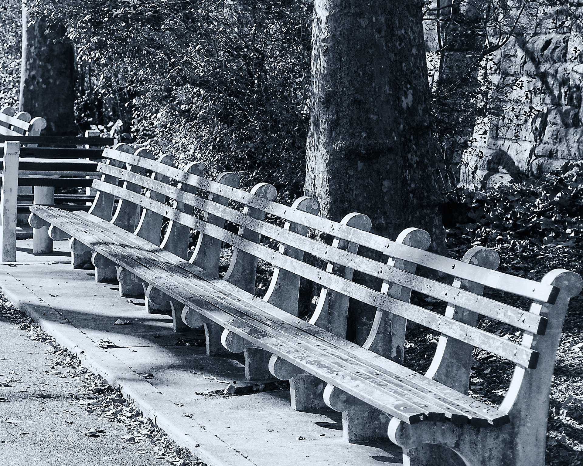 Park Bench, New Yori