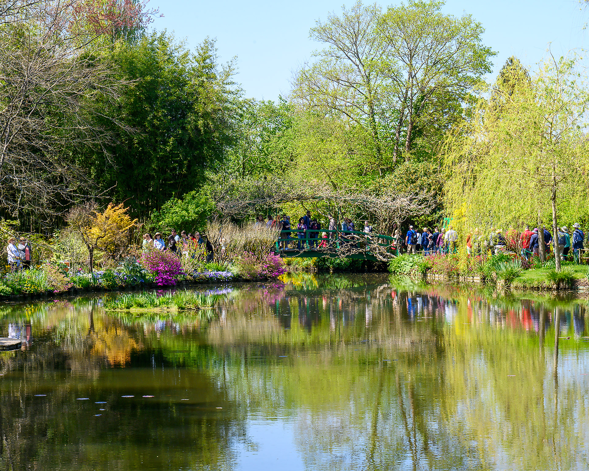 Monet's Pond