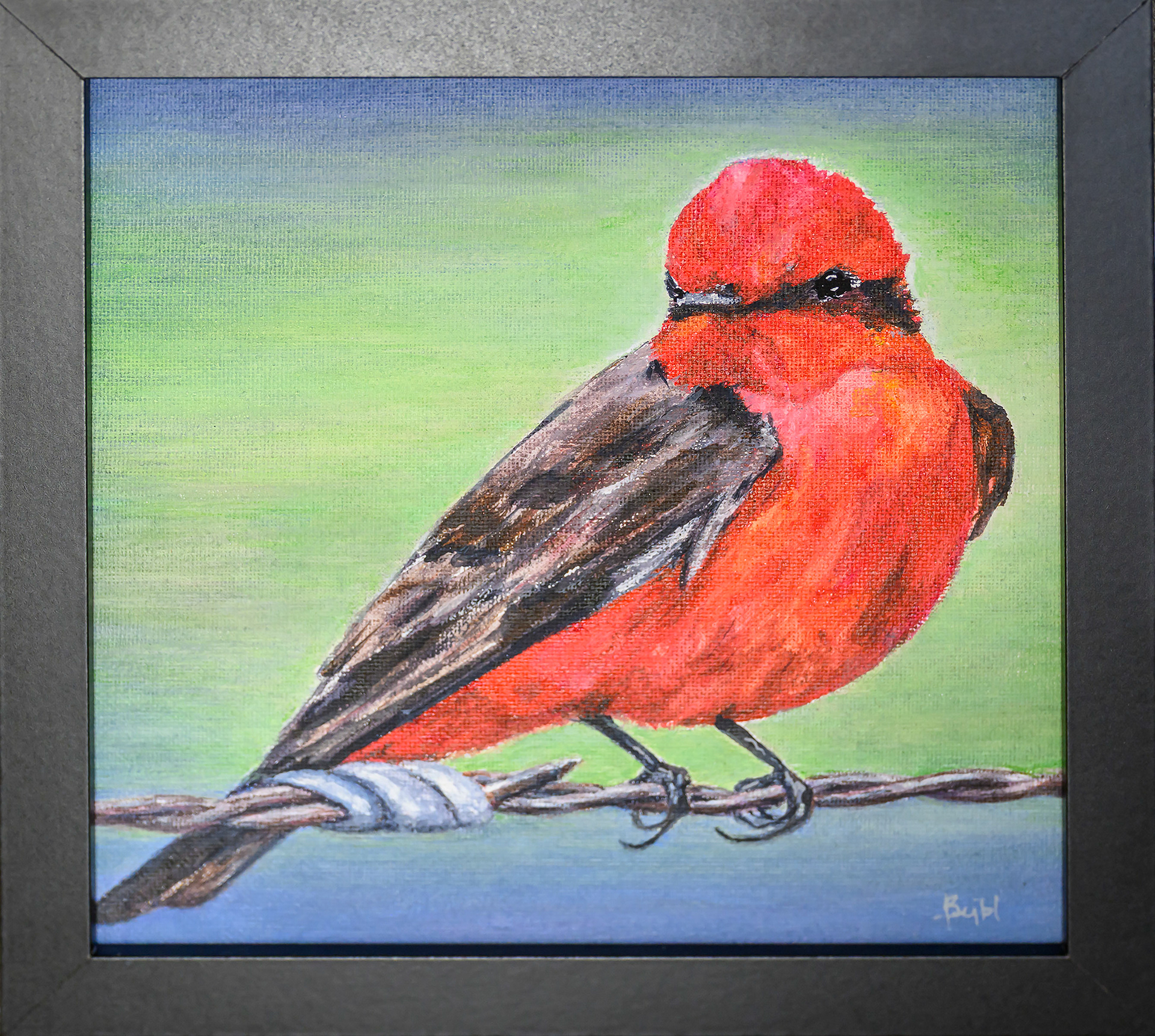 Renee Bejbl-Vermilion Flycatcher