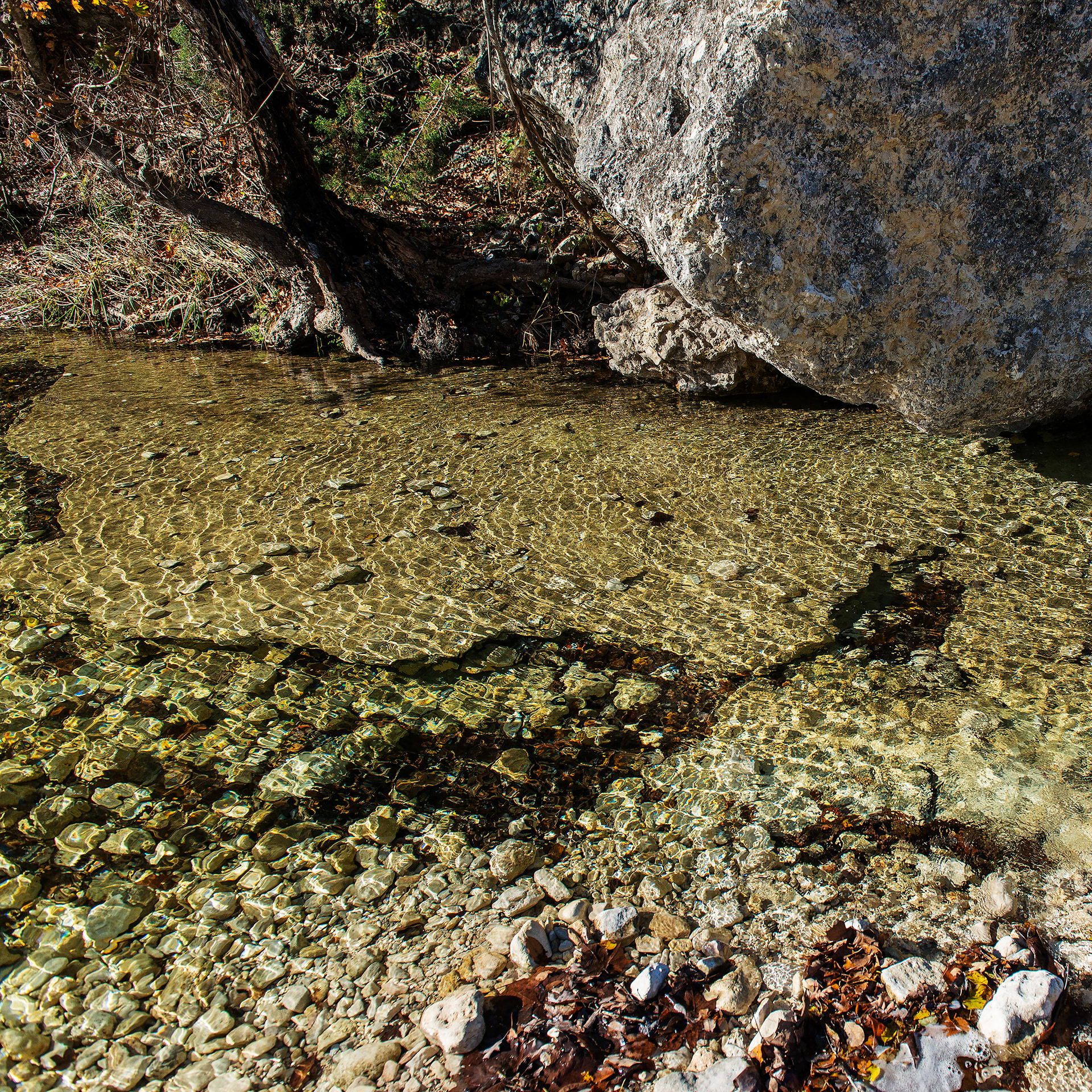 Creek in Lost Maples State Park