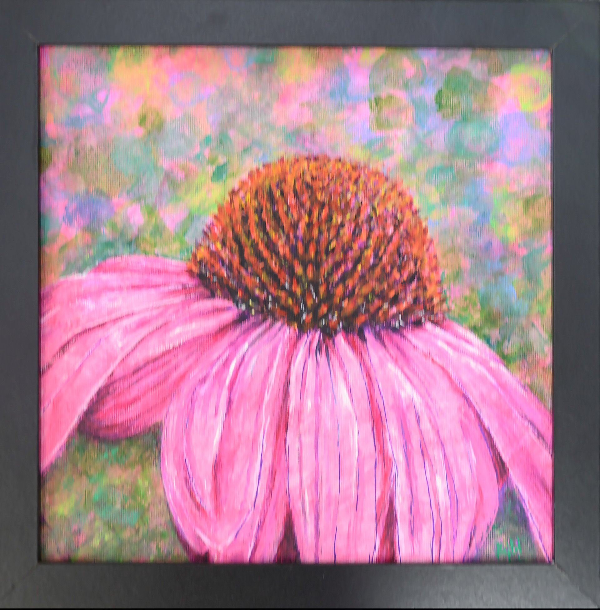 Renee Bejbl-Coneflower