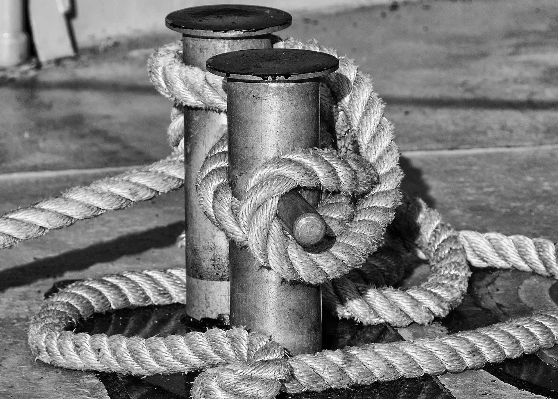 Rope on Stanchion - Portsmouth ME
