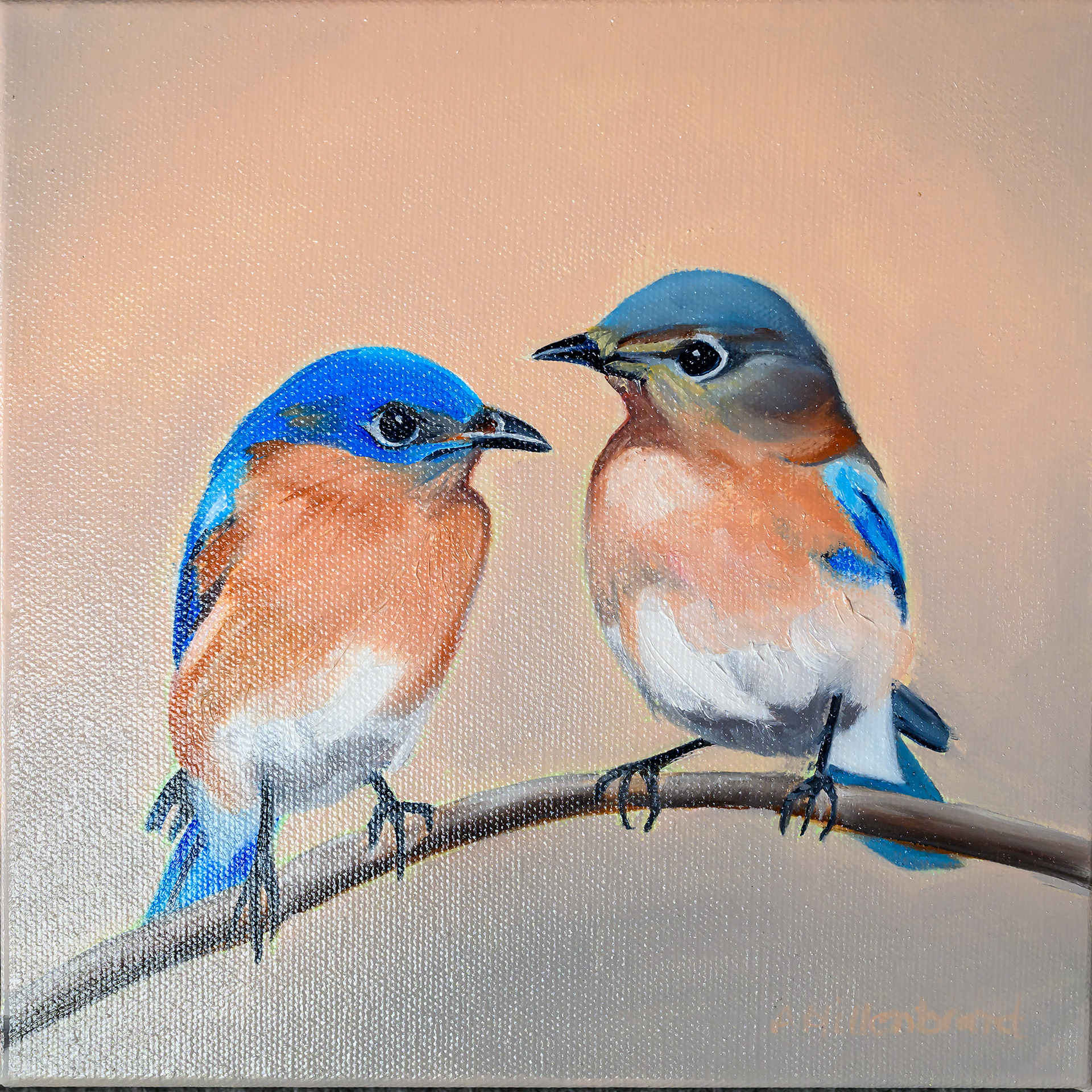 Amy Hillenbrand-Tweethearts