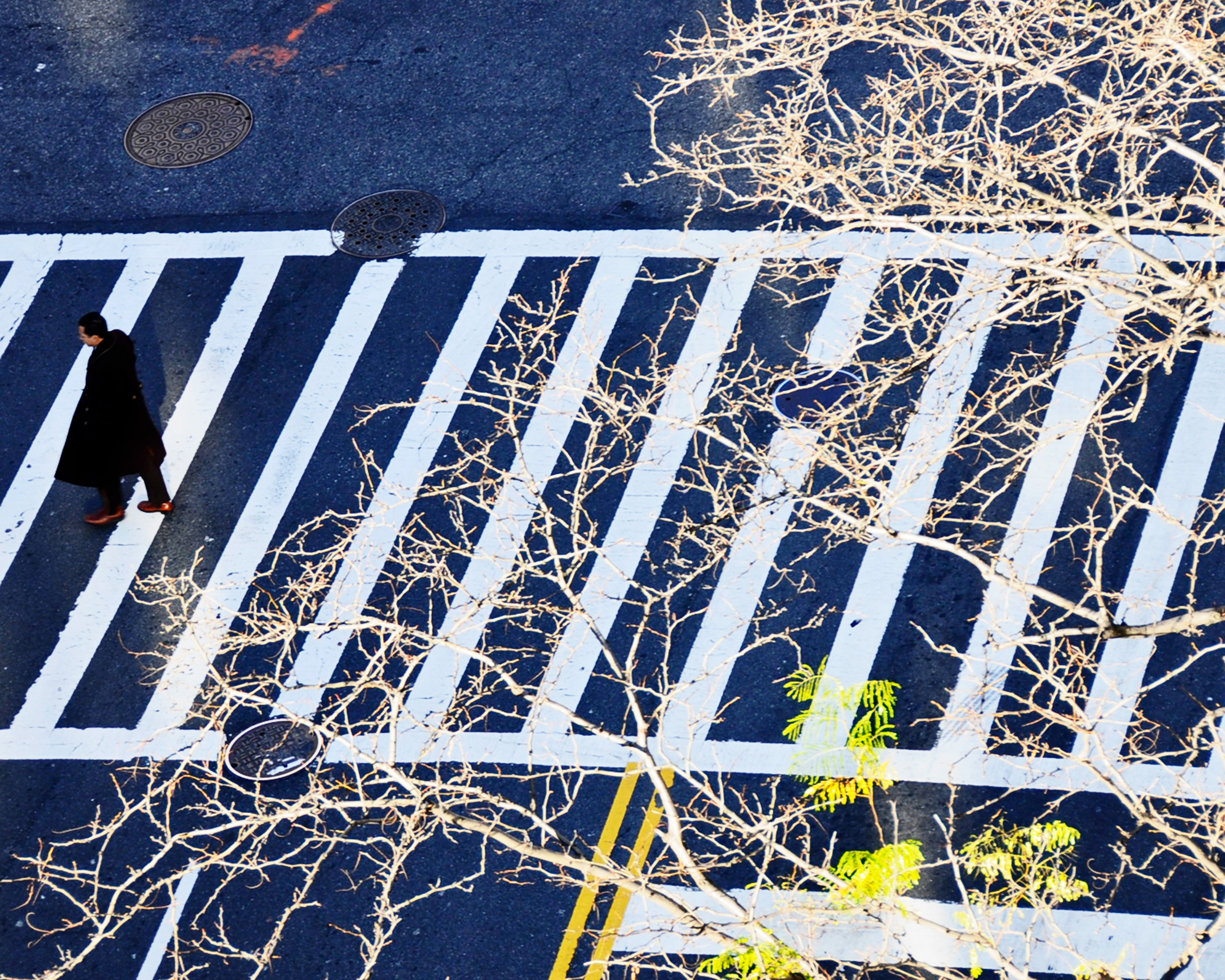 Man in Crosswalk, New York