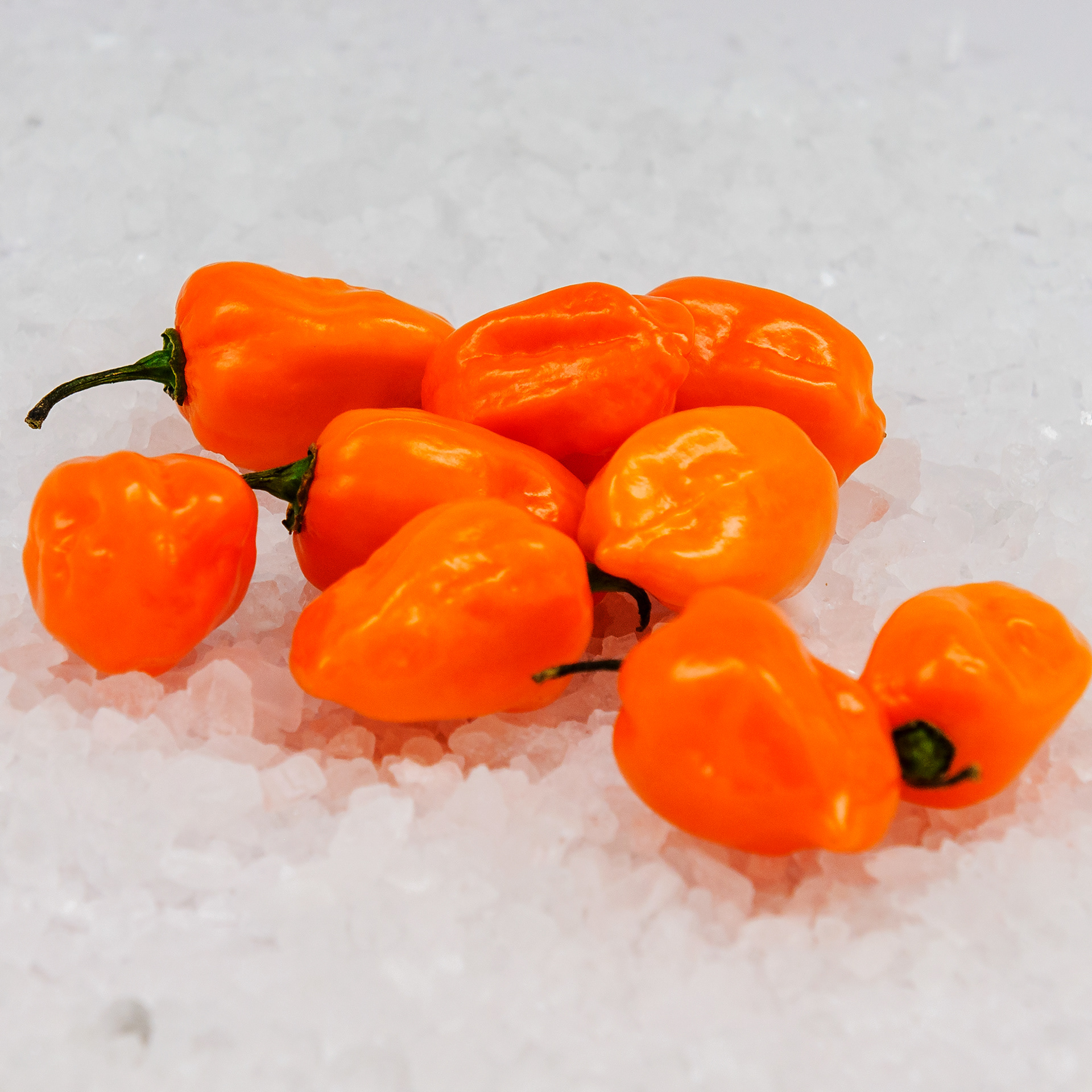 Habanero Peppers