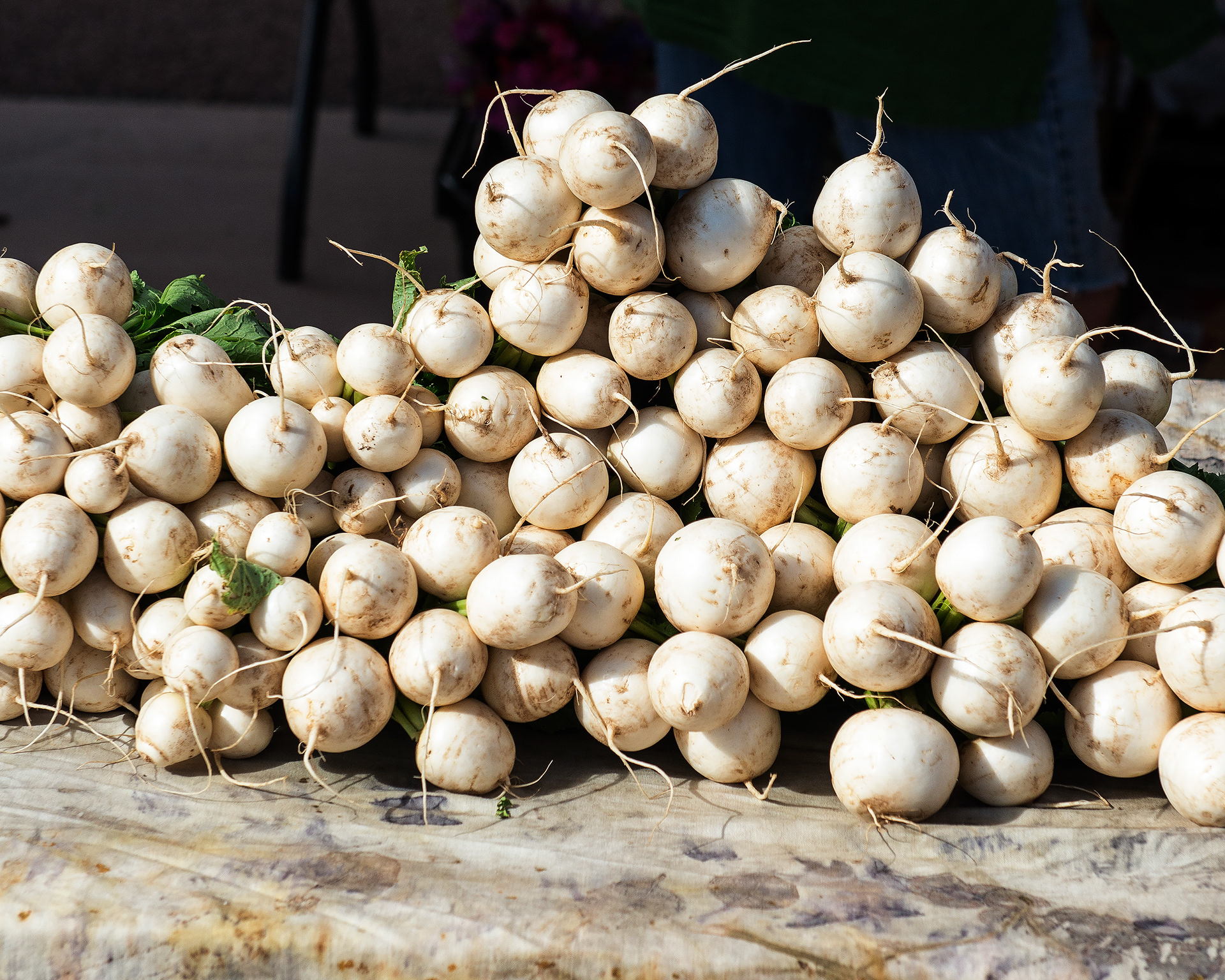 Turnips - Santa Fe