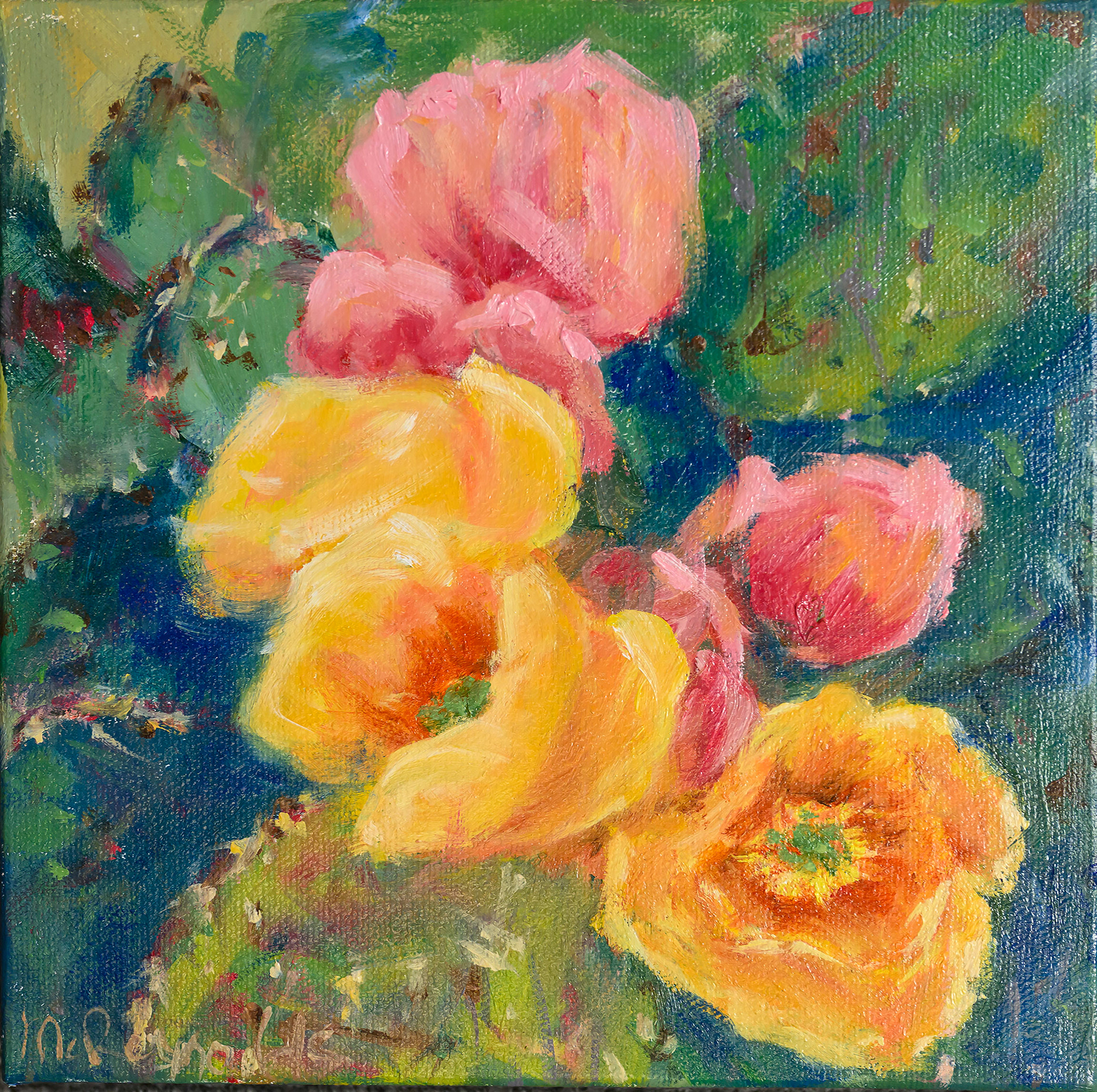 TeriJo McReynolds-Flowers of the Prickly Pear