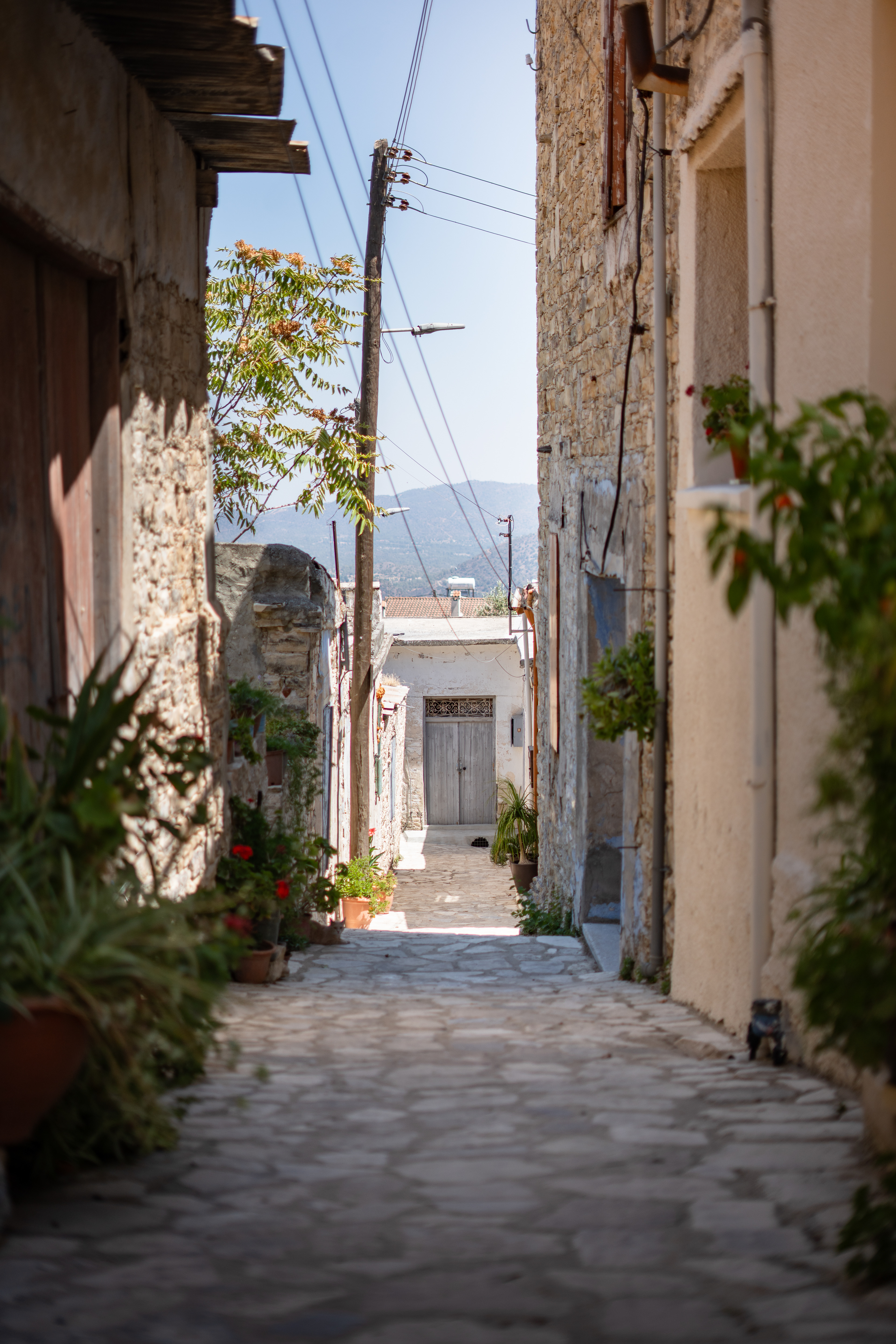 Cyprus
