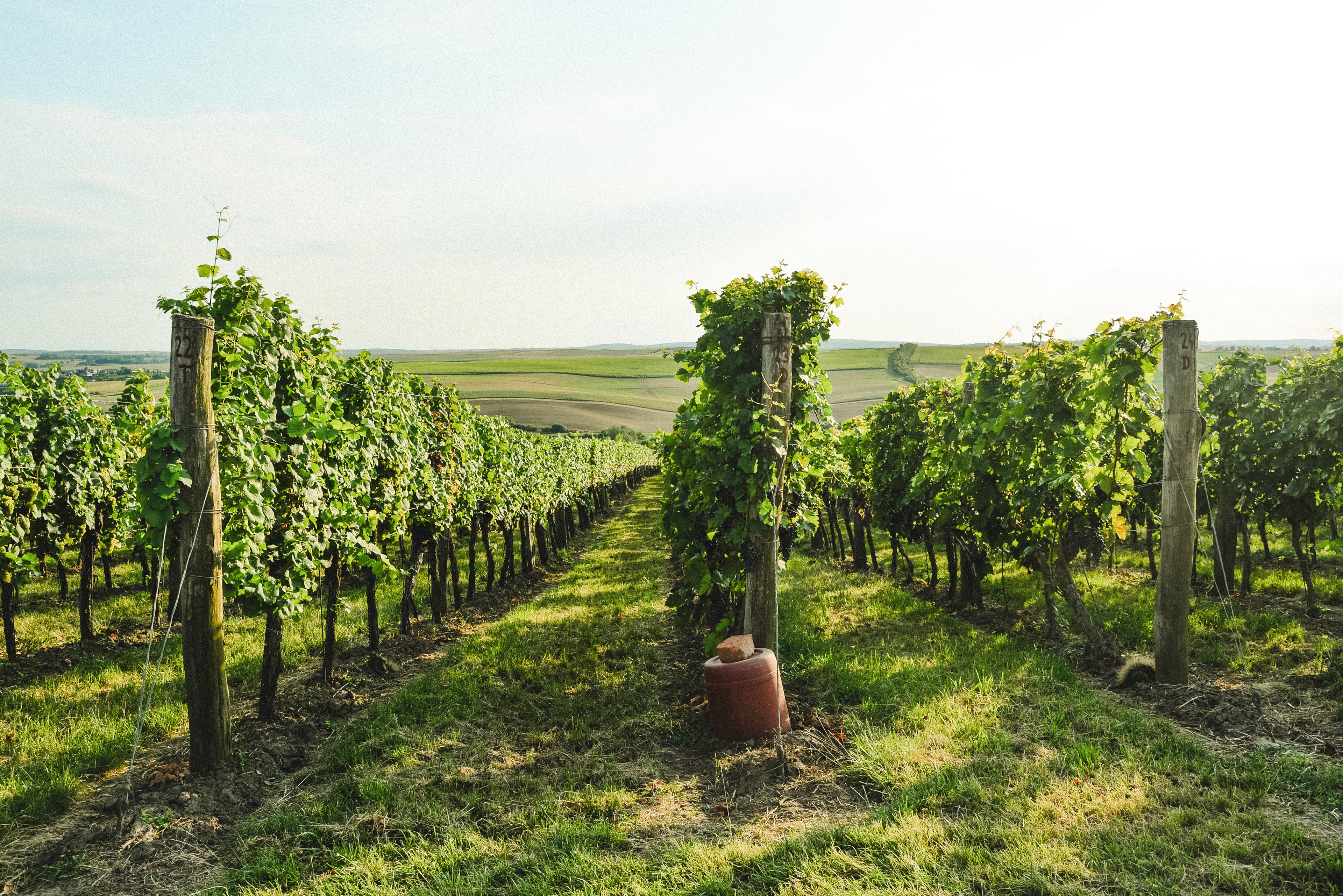 South Moravia