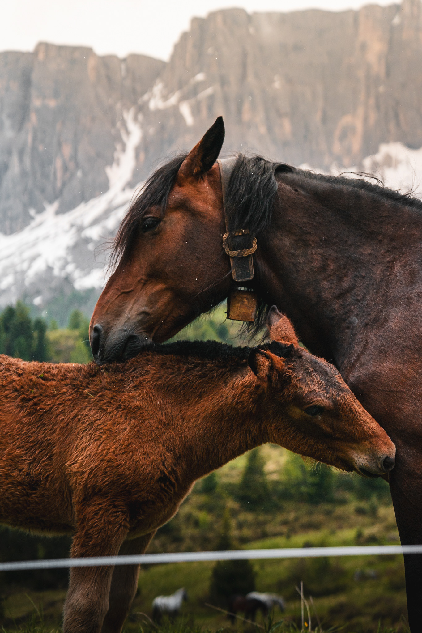 Dolomites