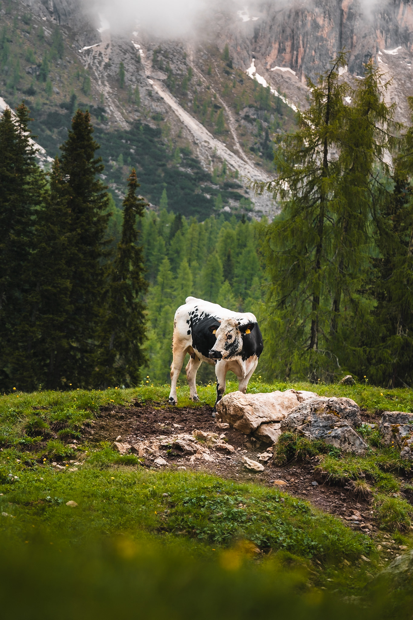 Dolomites