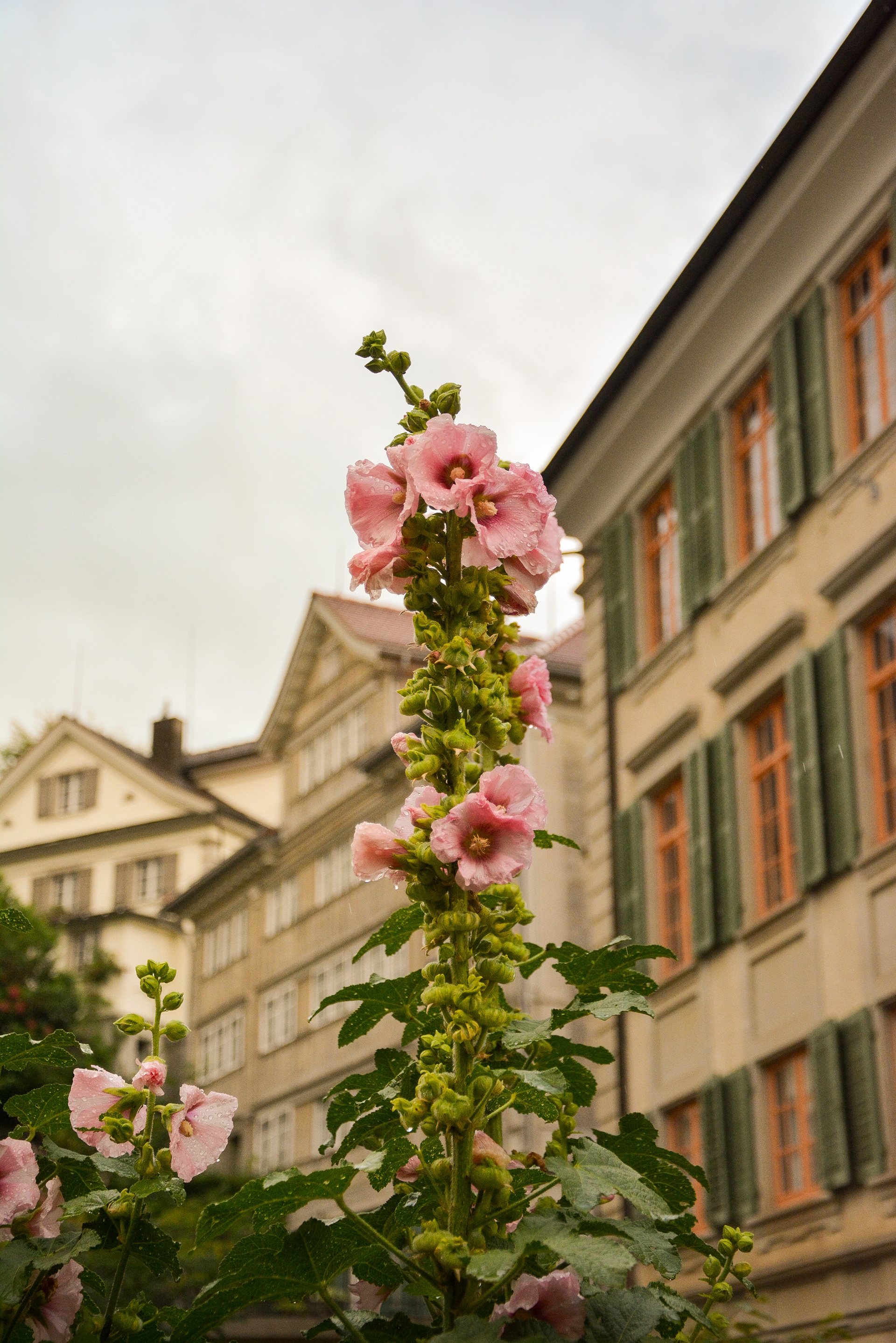 Switzerland