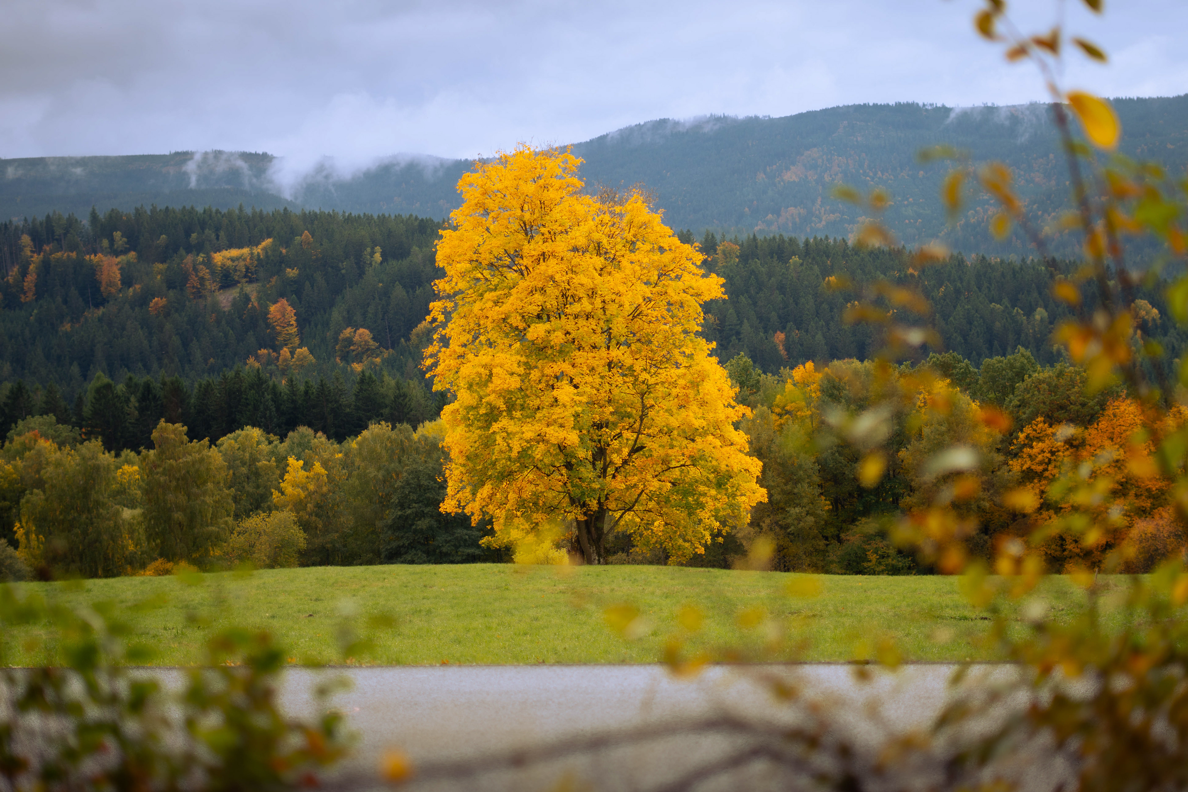 Šumava national park