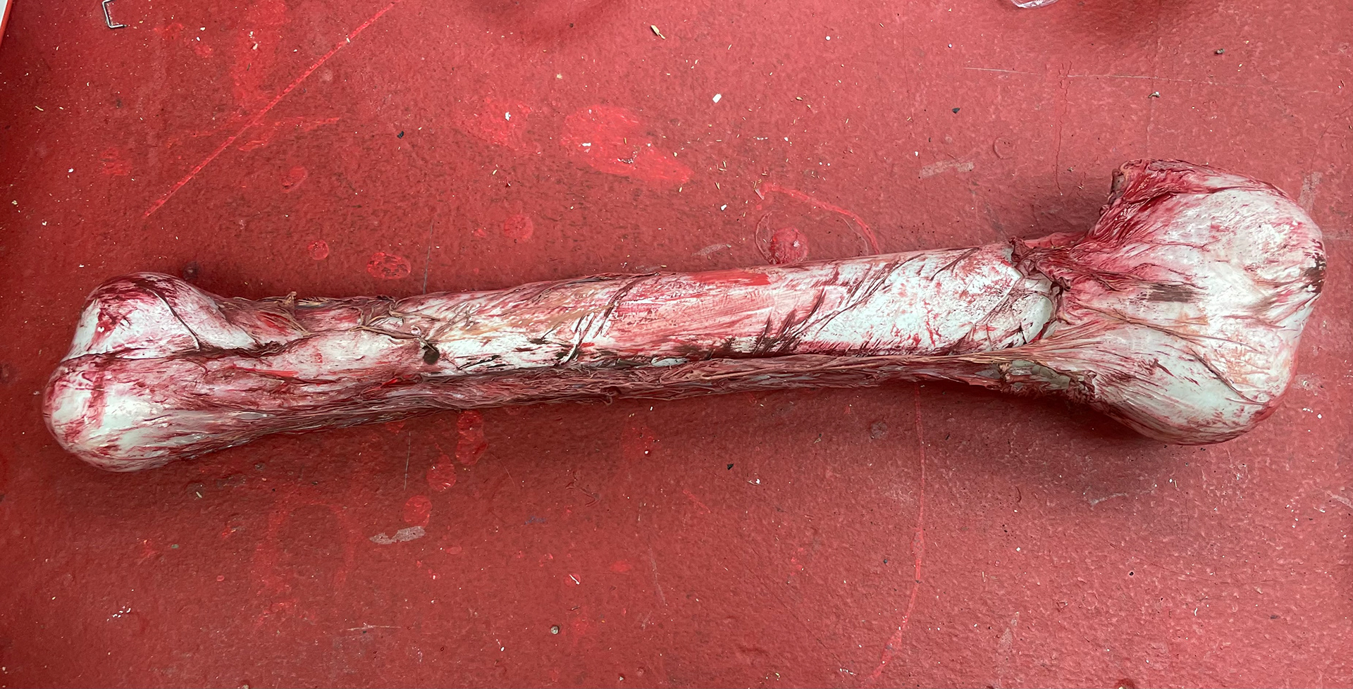 Painted Bone