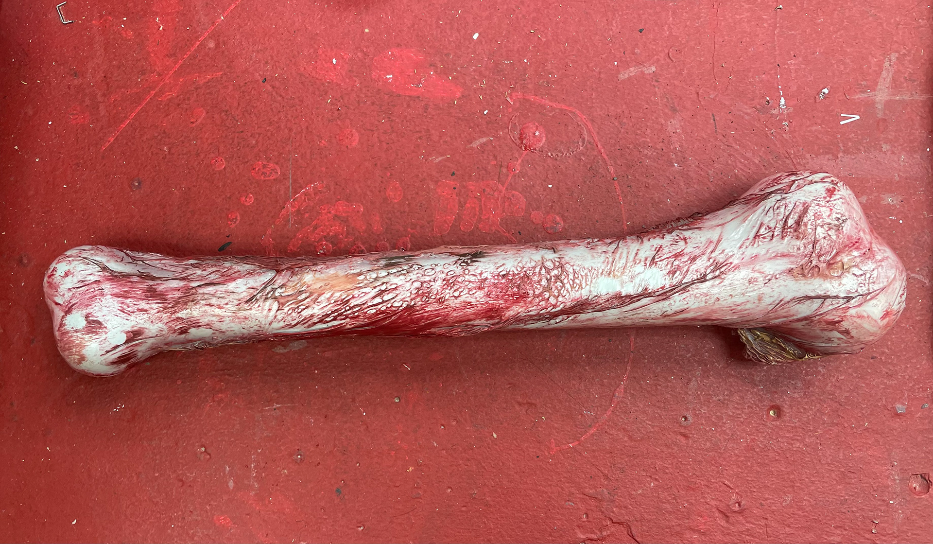 Painted Bone