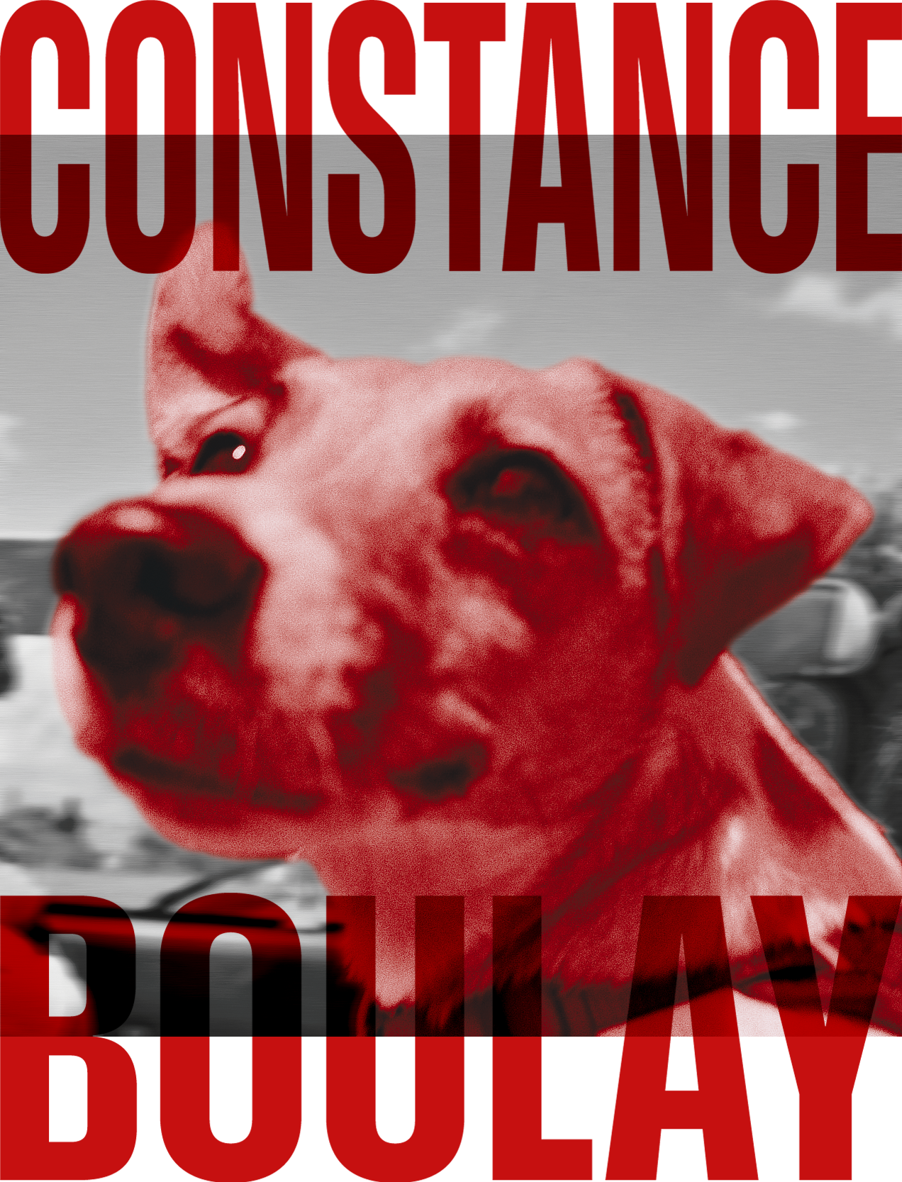 Constance BOULAY