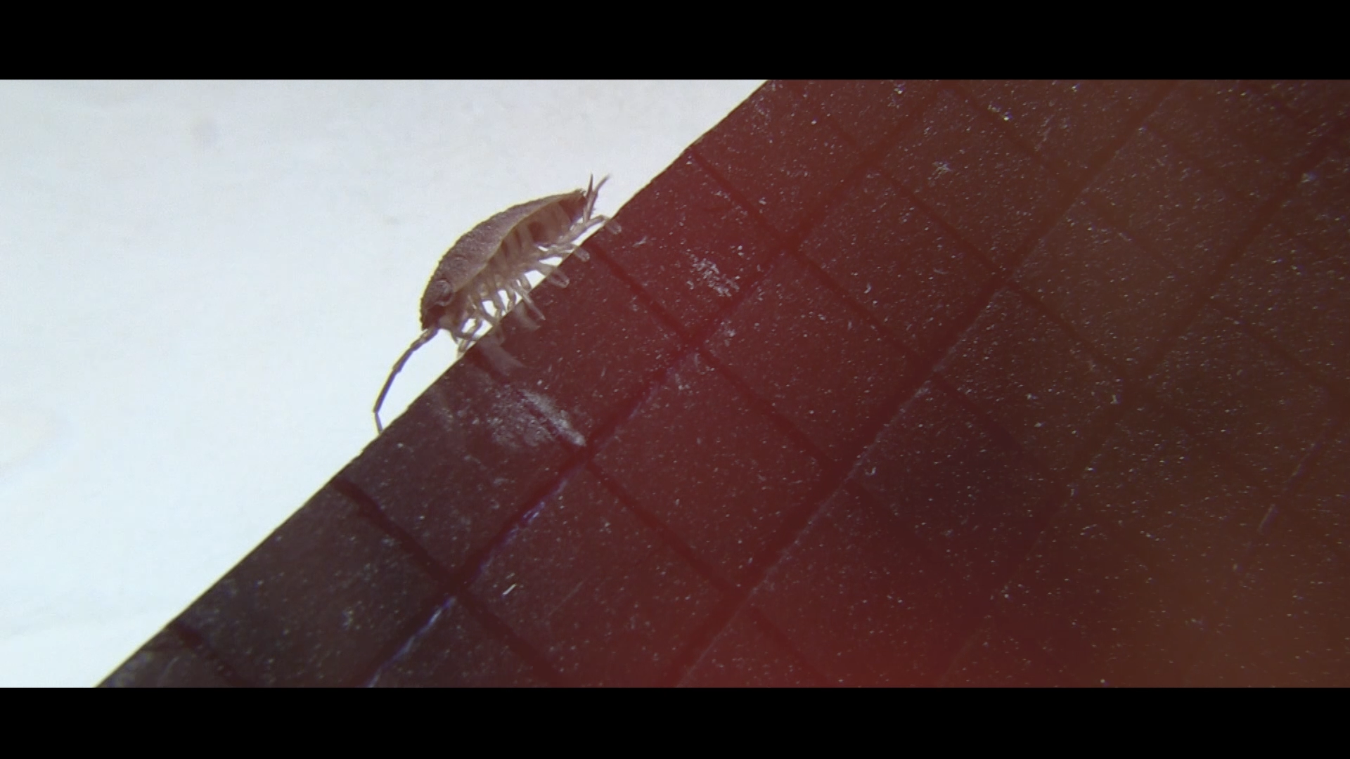 Screen shoot of "Tales from Jelly Fish Nebulla" by Julian Olariu #2