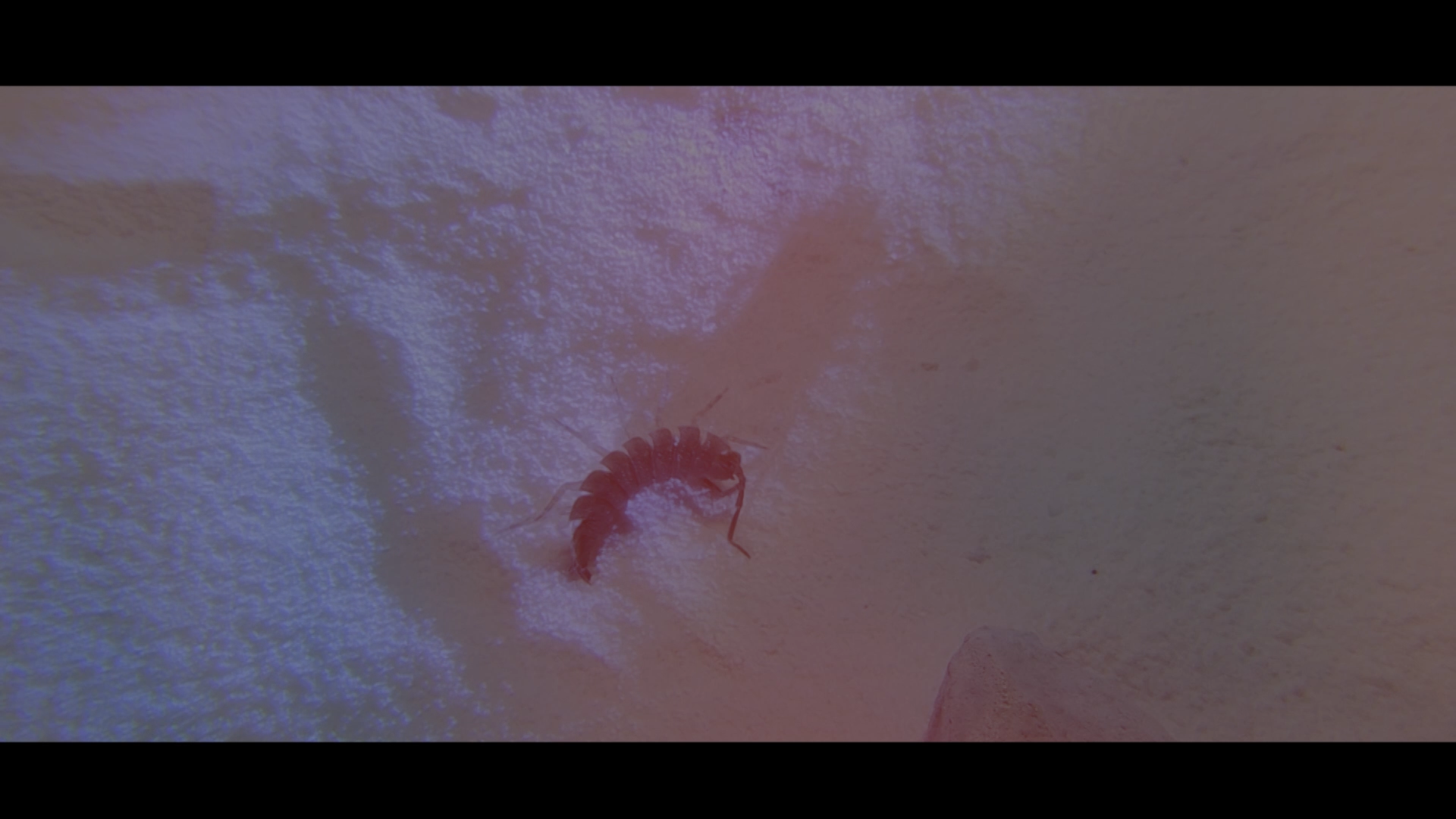 Screen shoot of "Tales from Jelly Fish Nebulla" by Julian Olariu #4