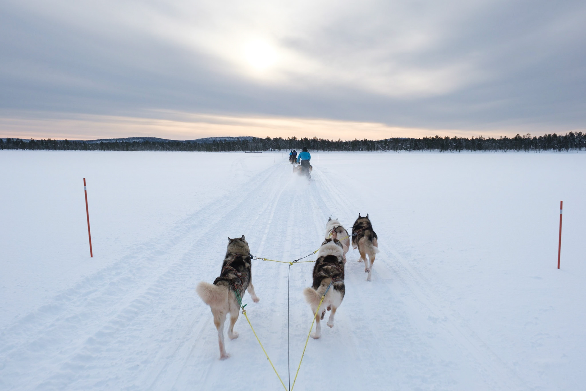 And back out onto Lake Inari. Once the dogs settle into a run the silence is amazing, Nellim, Finnish Lapland.