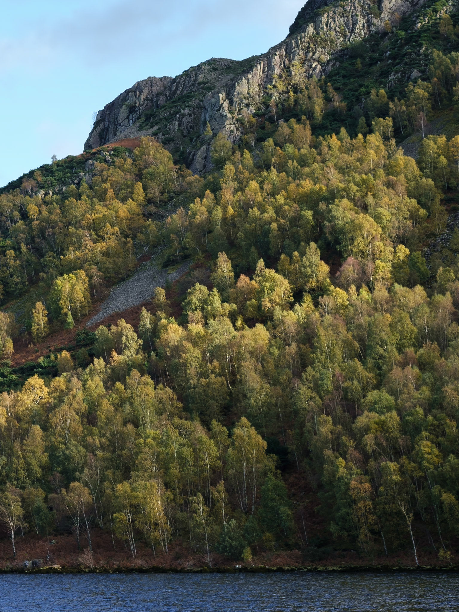 Ullswater birch trees in autumn colour.