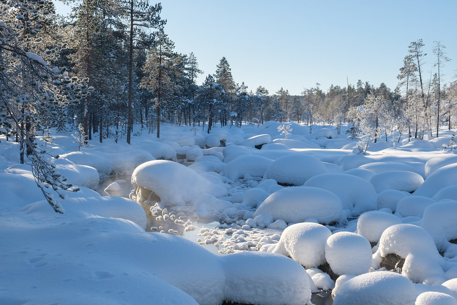 Steam rising from the relatively warm water of a small stream, Nellim, Finnish Lapland.