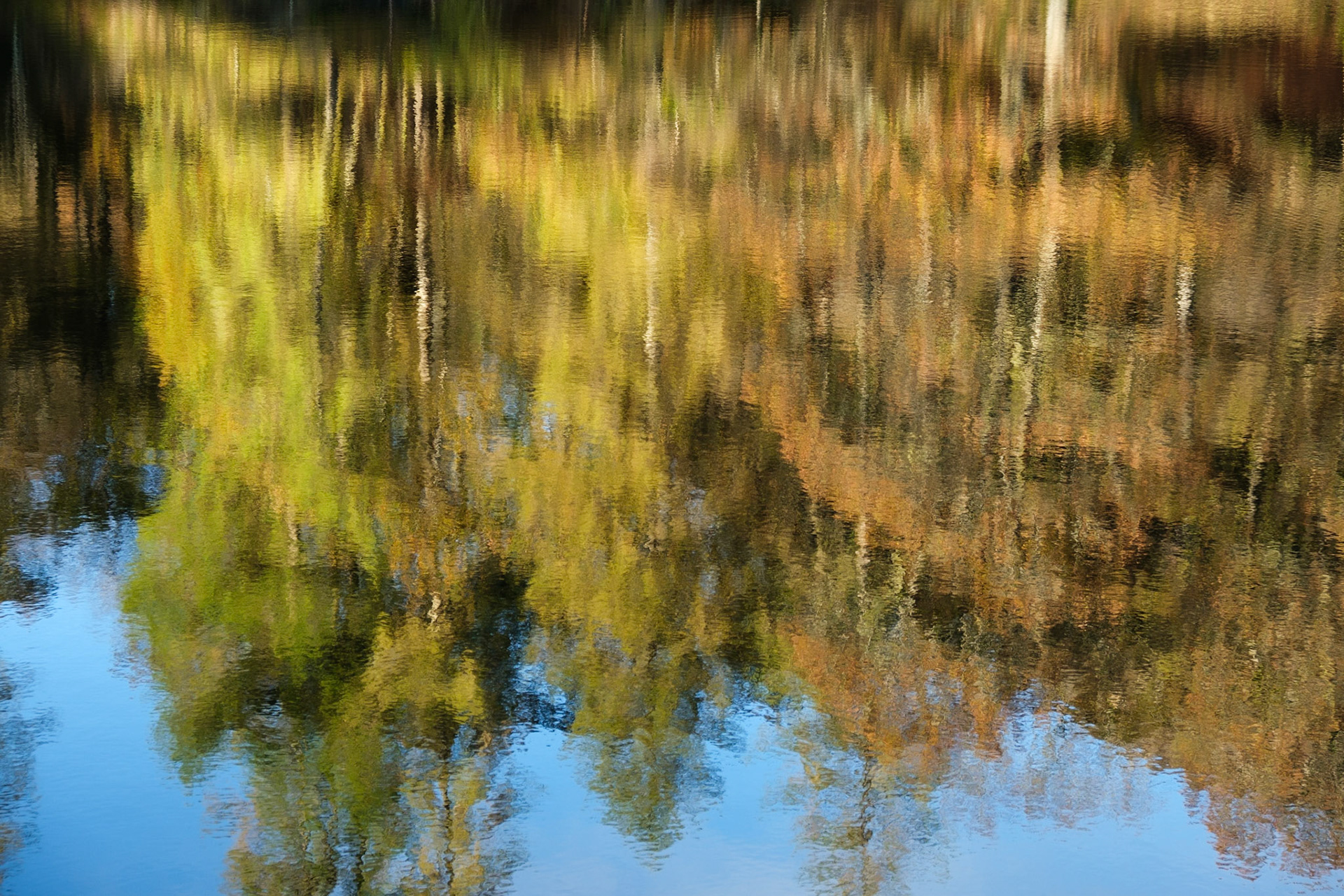 Yew Tree Tarn reflections.