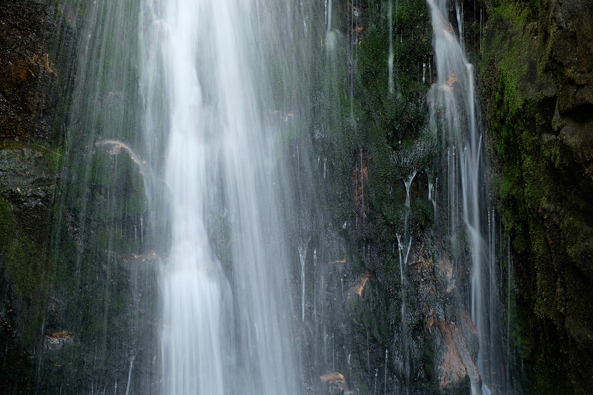 Scale Force close-up, Lake District National Park, England.