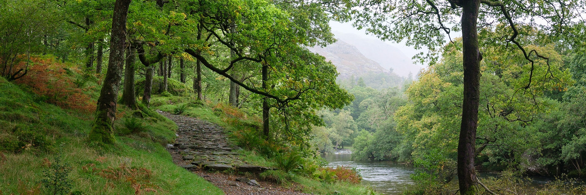 A pretty path through Low Hows Wood beside the Derwent River.