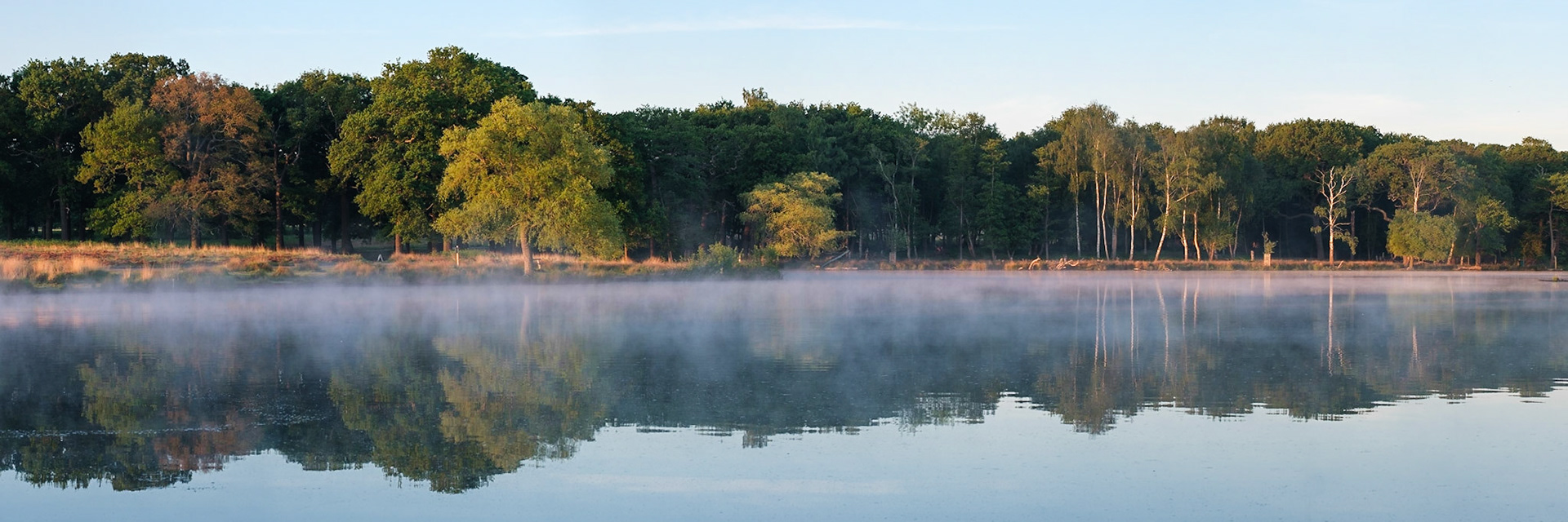 Pen Ponds in Richmond Park at sunrise.