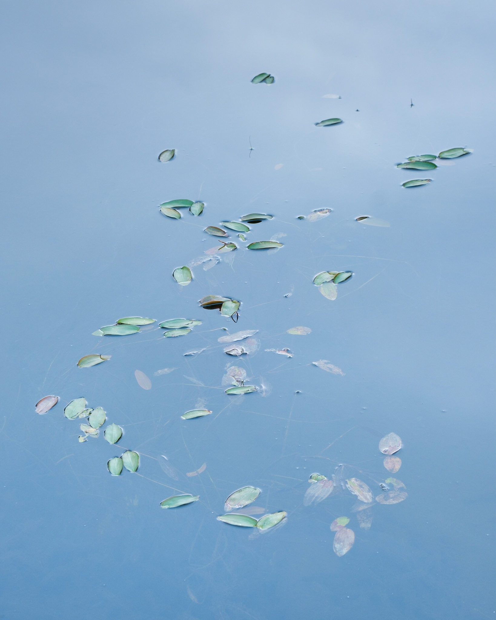 Kelly Hall Tarn abstract.