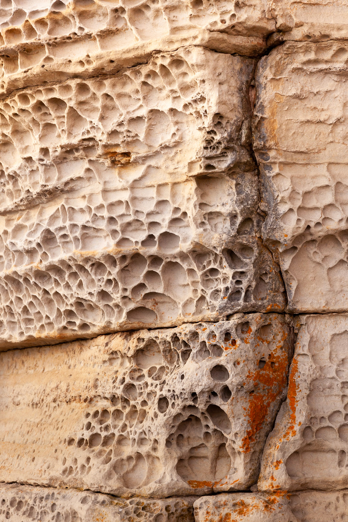 Sandstone cliffs on the shore at Elgol, Isle of Skye, Scotland.