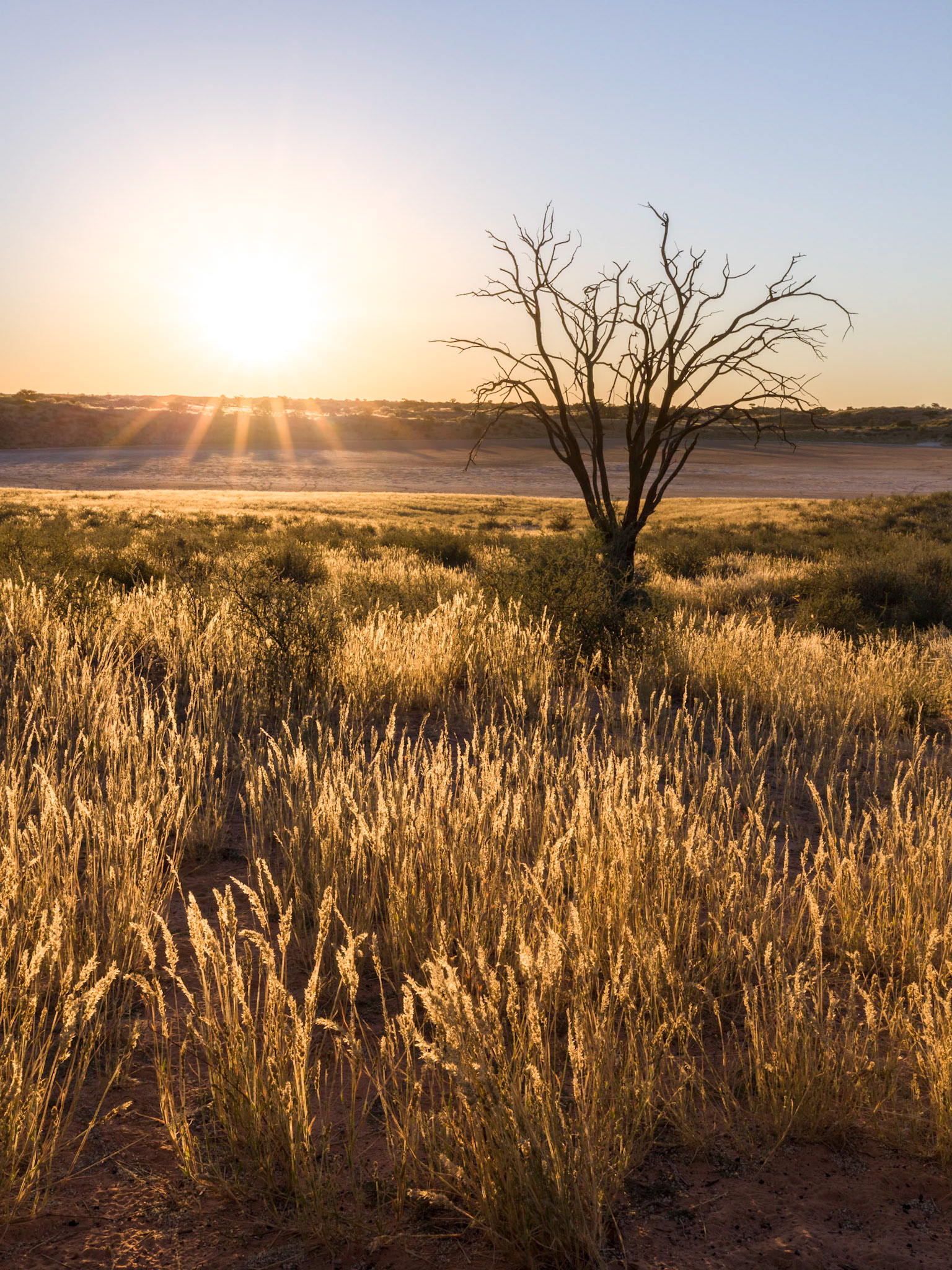 Bitterpan definitely gets my vote for the prettiest view from camp, although Gharagab runs a close second, Kgalagadi Transfrontier Park.