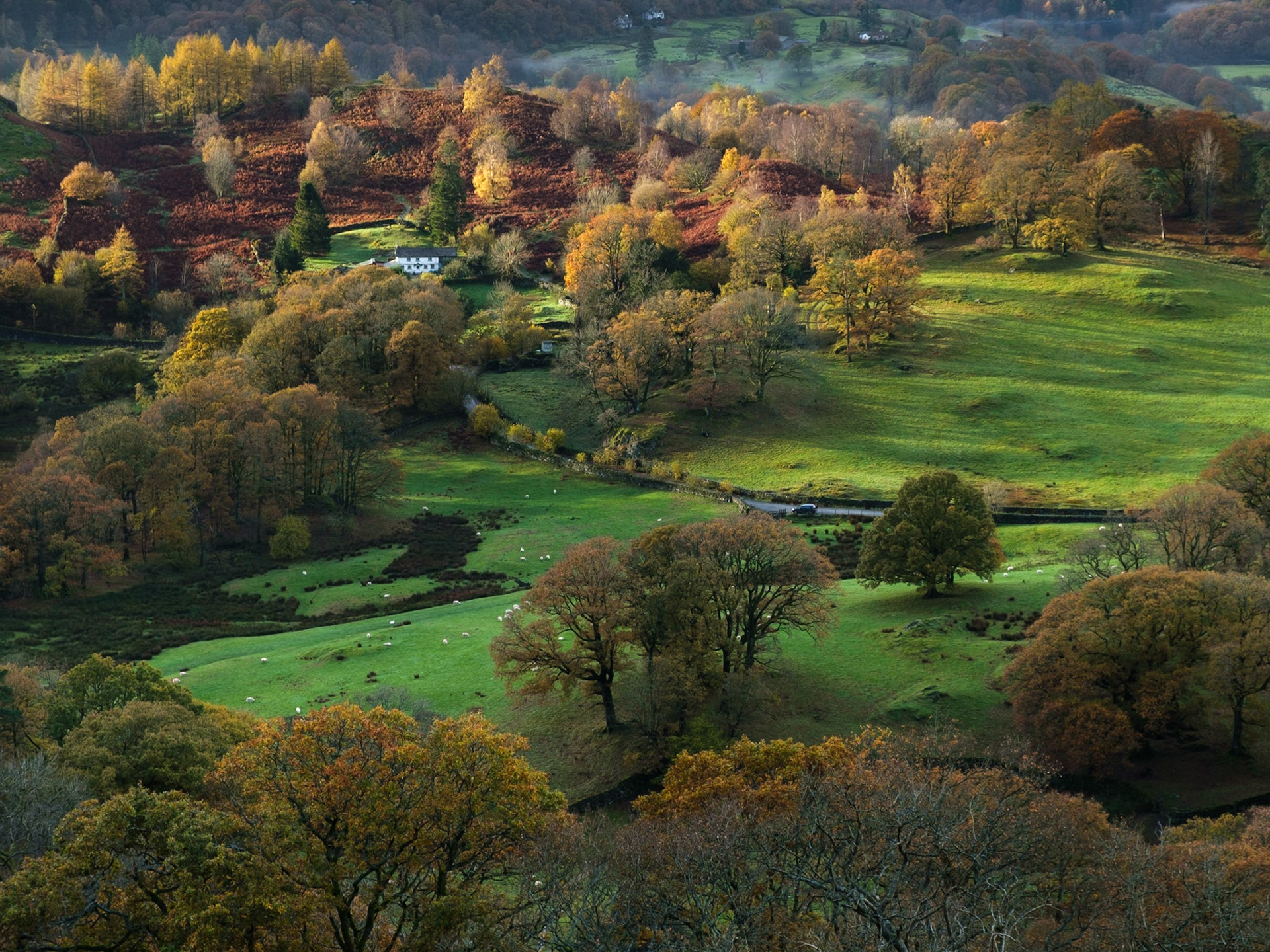 Loughrigg Fold, Lake District National Park, England.