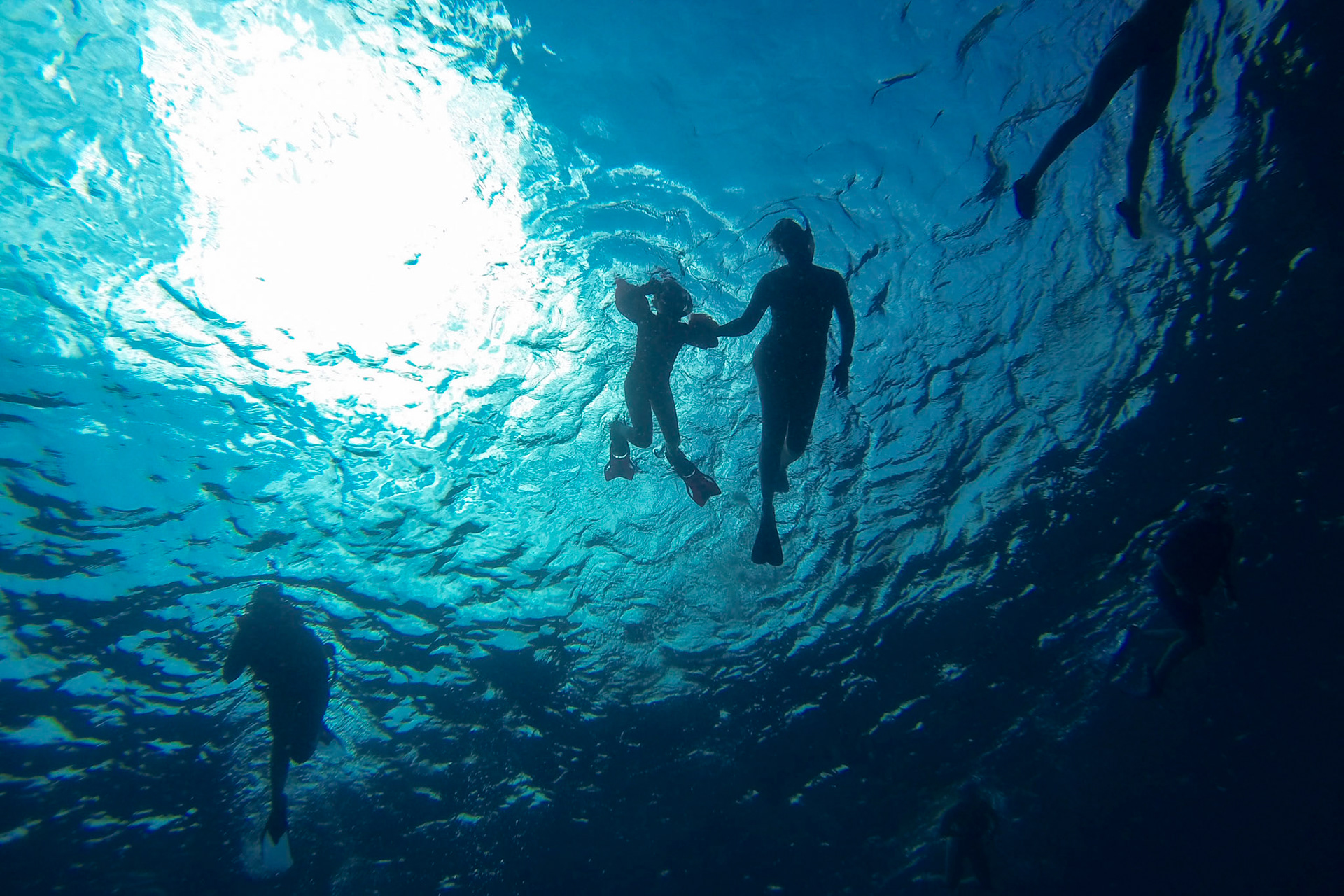 Snorkelling off Gili Meno, Lombok, Indonesia.