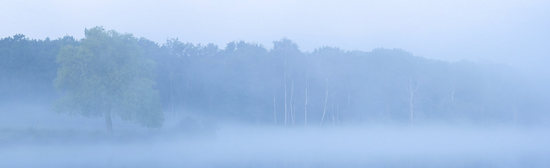 A perfectly still misty morning at Pen Pond in Richmond Park.