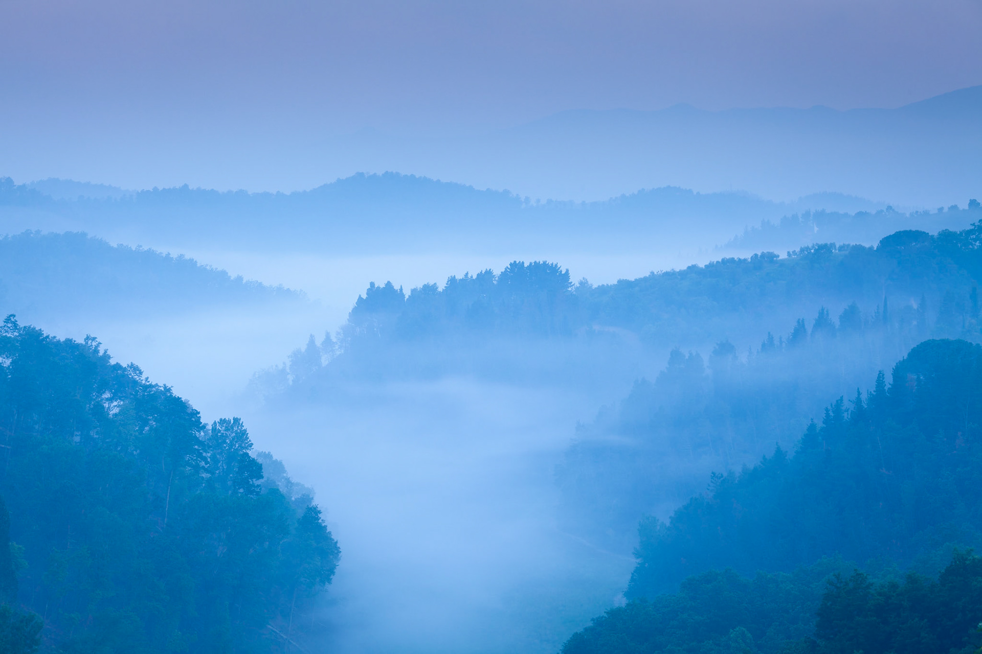 Mist fills the valley below Borgo di Colleoli at dawn, Tuscany, Italy.