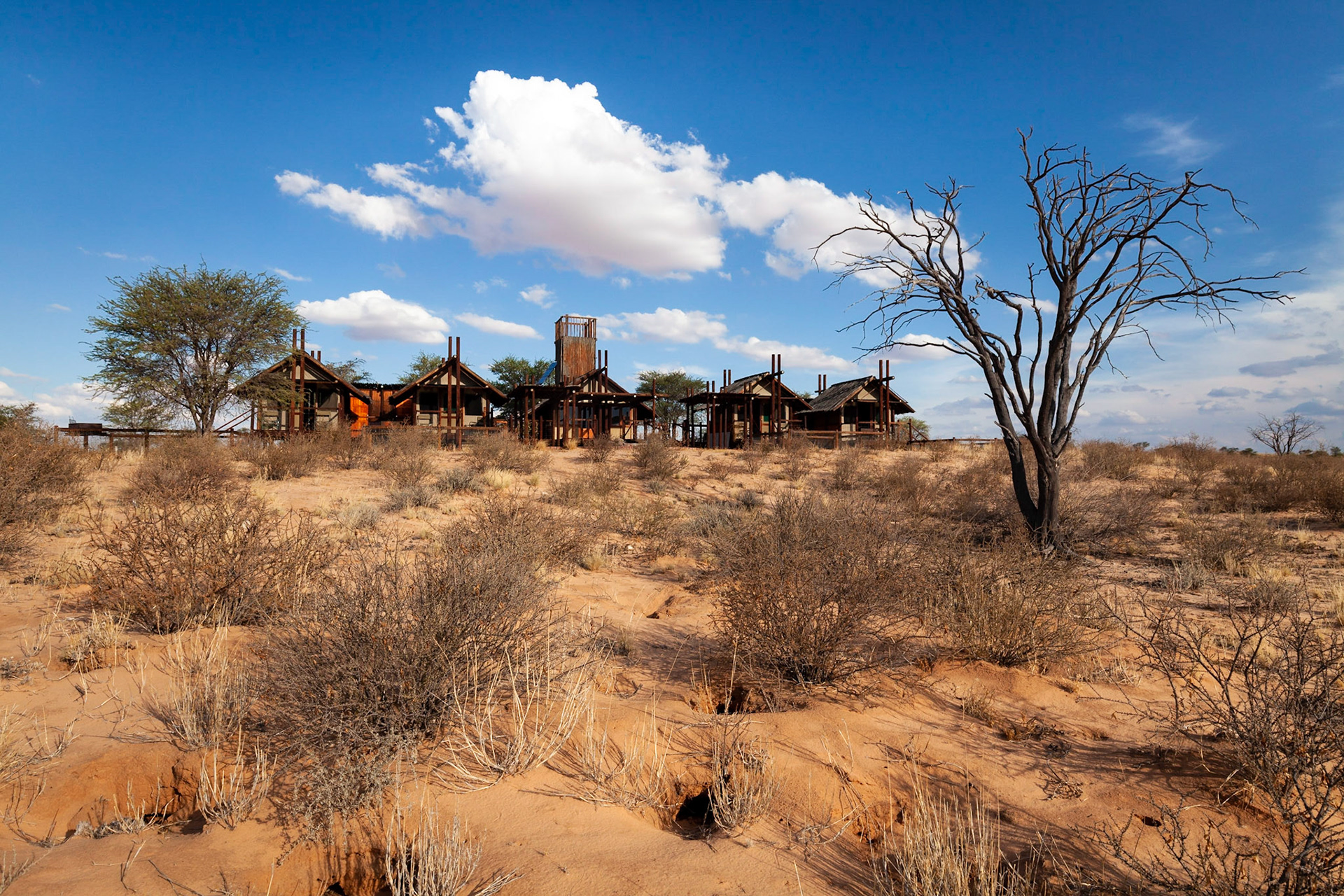 Bitterpan Wilderness Camp, Kgalagadi Transfrontier Park, South Africa.