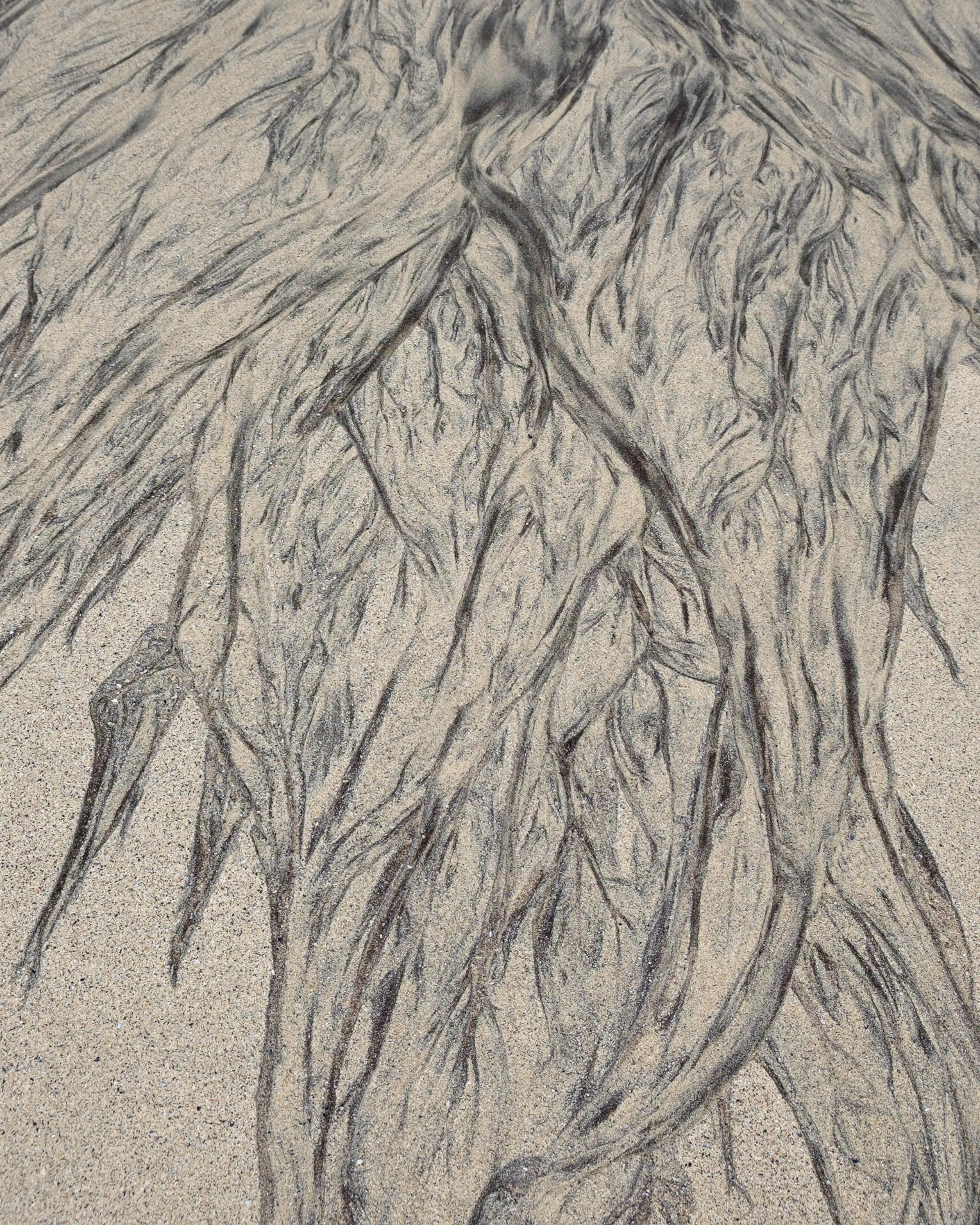 Sand patterns, Isle of Harris