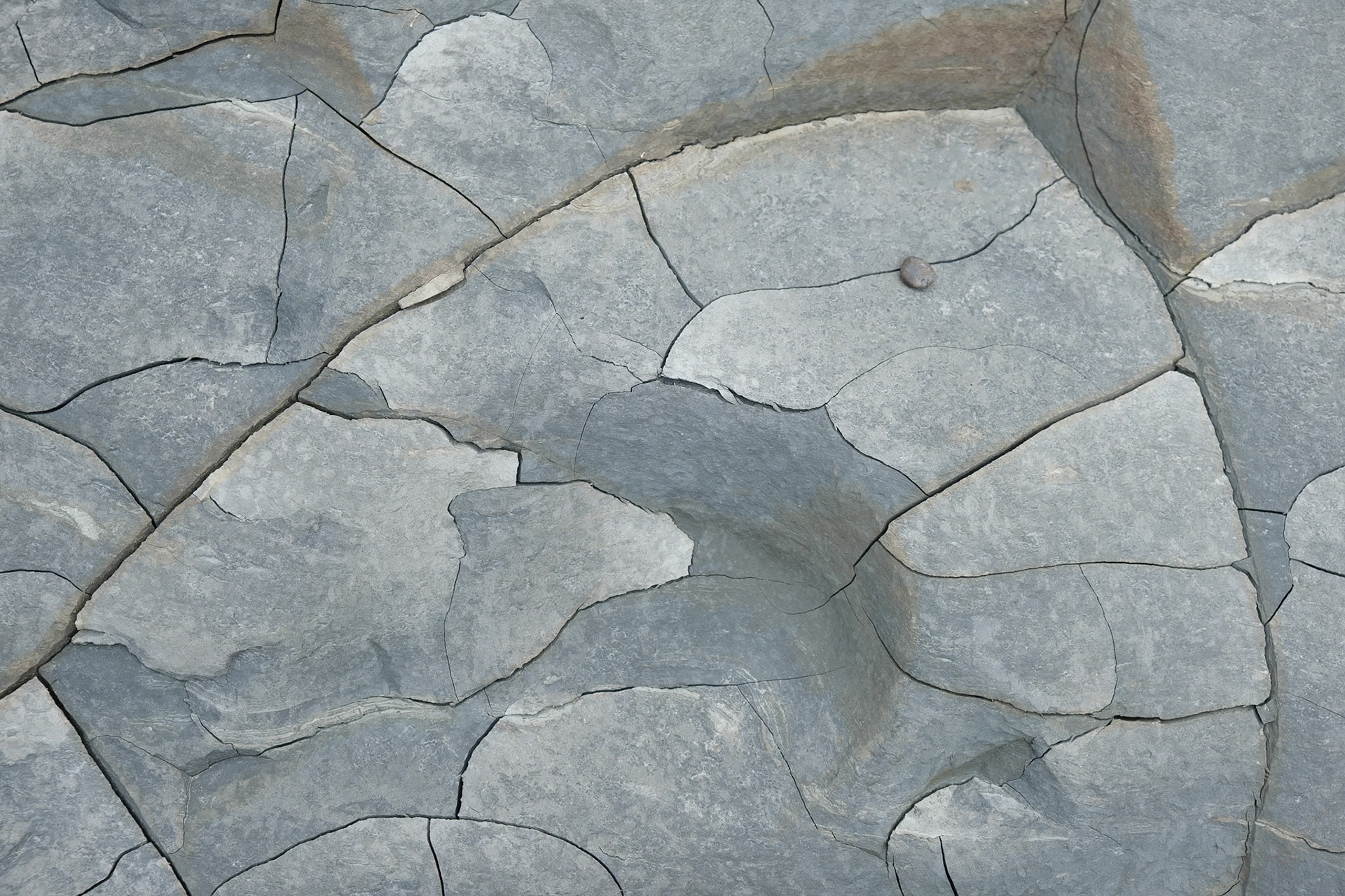 Cracks in the fossil rich mud on the cliffs outside Seatown in Dorset.