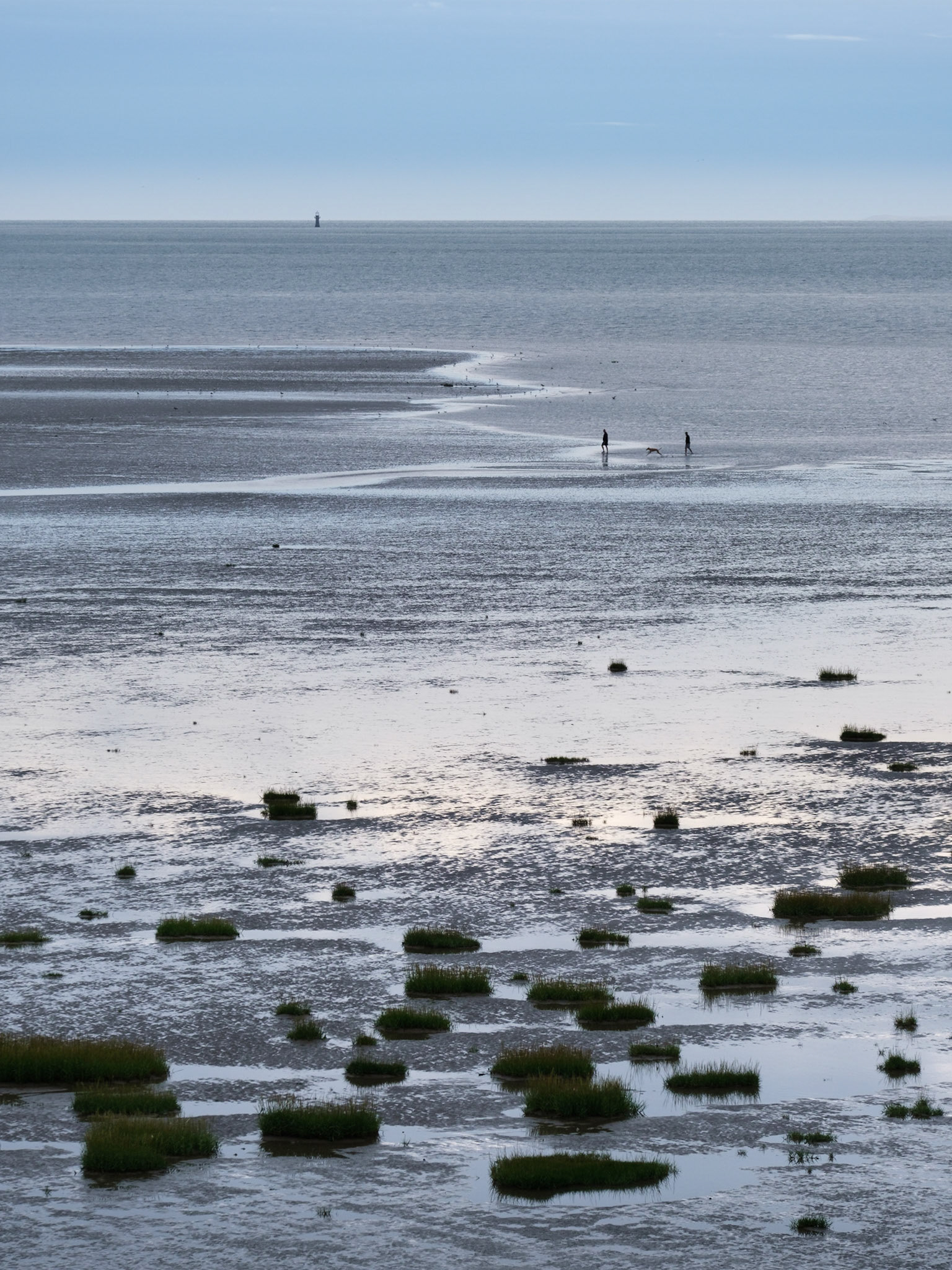 Dog walkers on the tidal flats of the River Loughor.