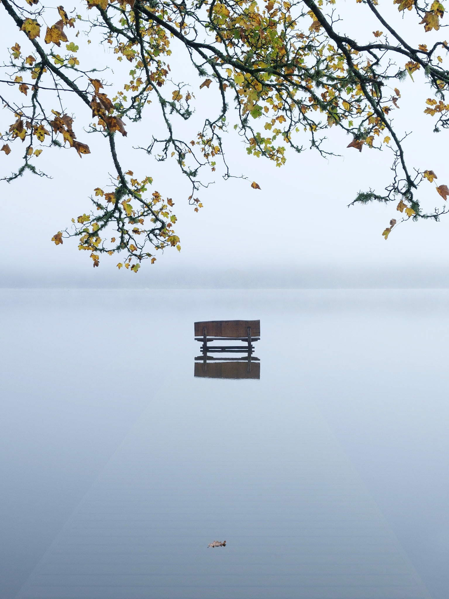 Wooden bench on a submerged jetty at Pullwood Bay.